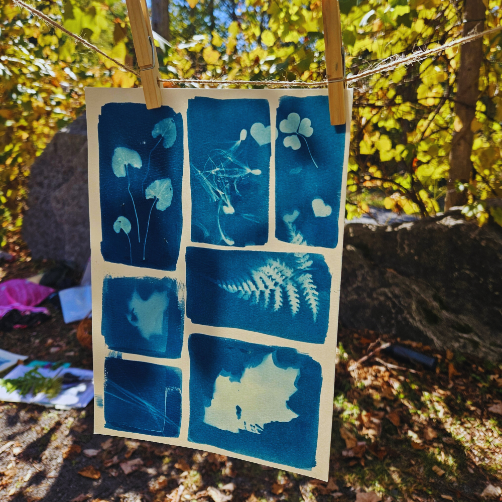 Design sans titre (3).png