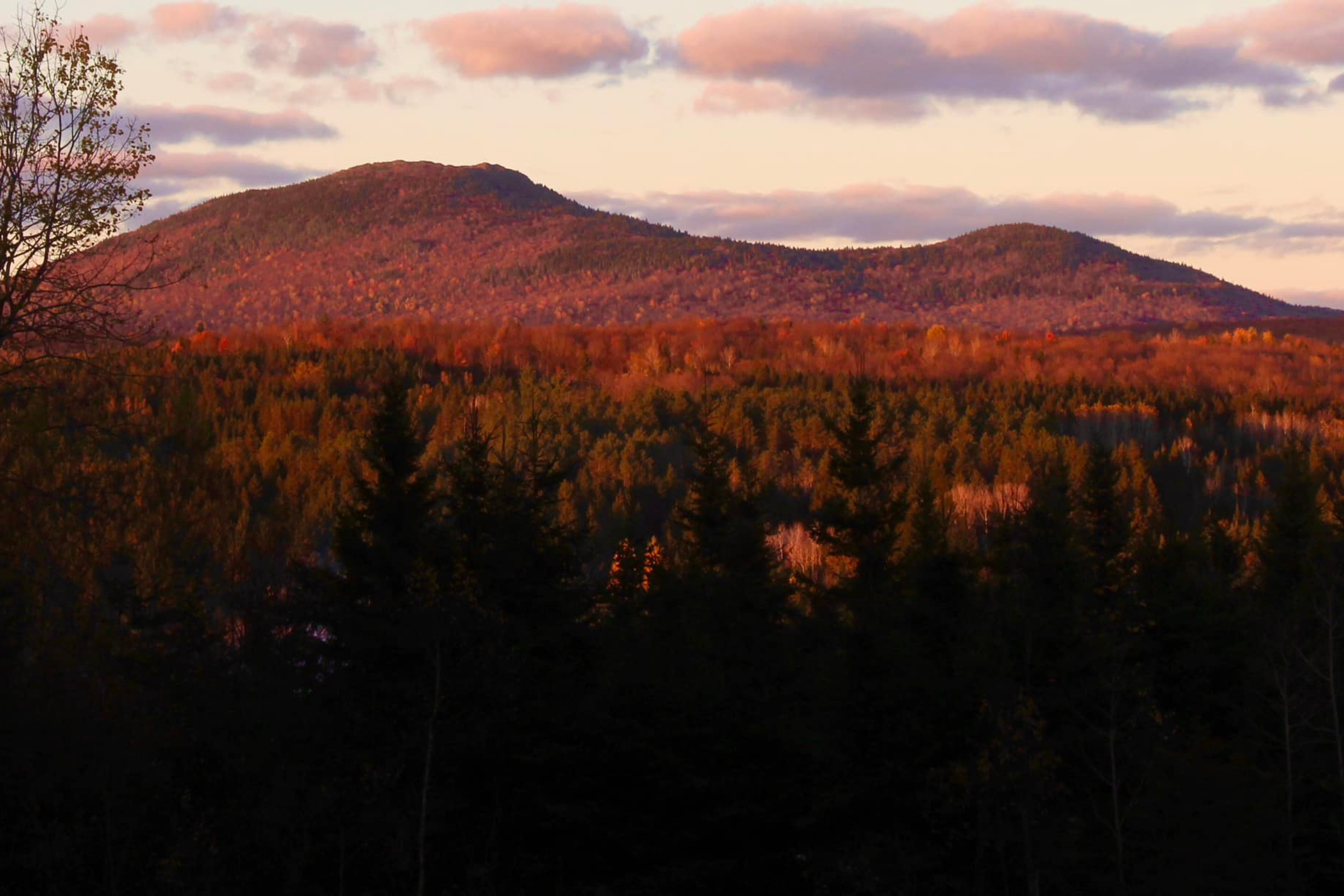 Retraite Forêt 2026