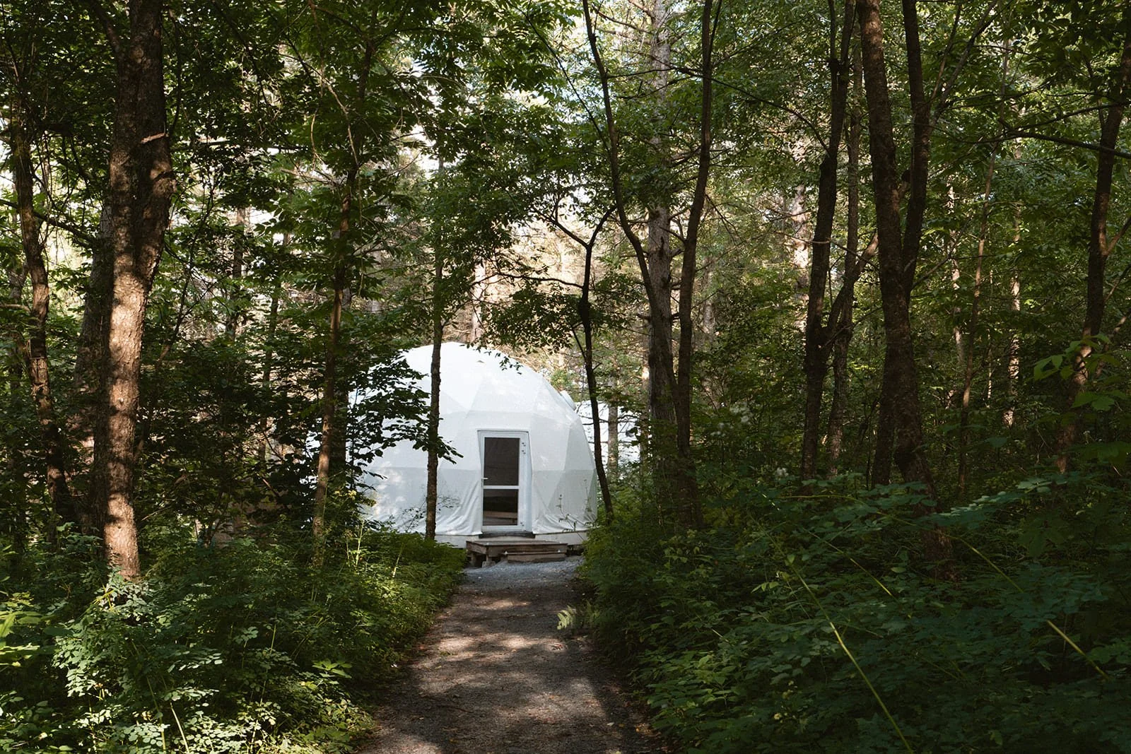 Inspire 2025. Coconut Lullaby-203_websize (2).jpg