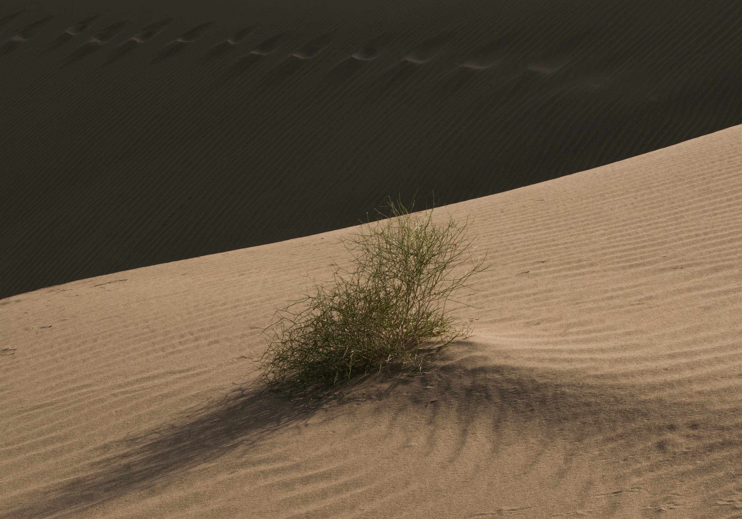 DSC_0614.jpg