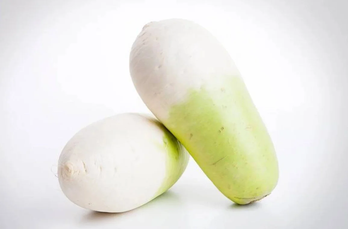How to Grow Korean Radish in the Southeast: A Straight-Talk Guide for Small Farms