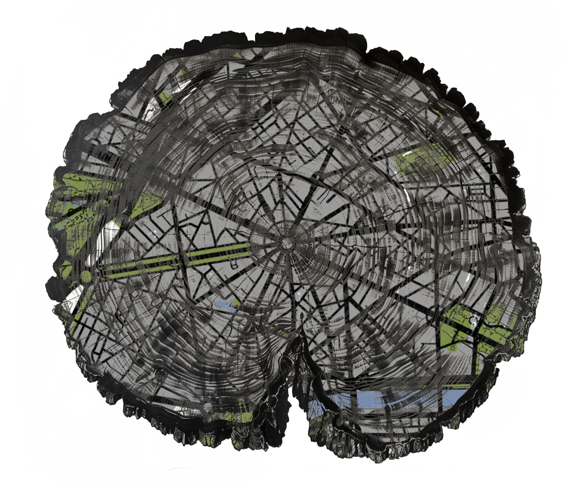 Tree Ring.png