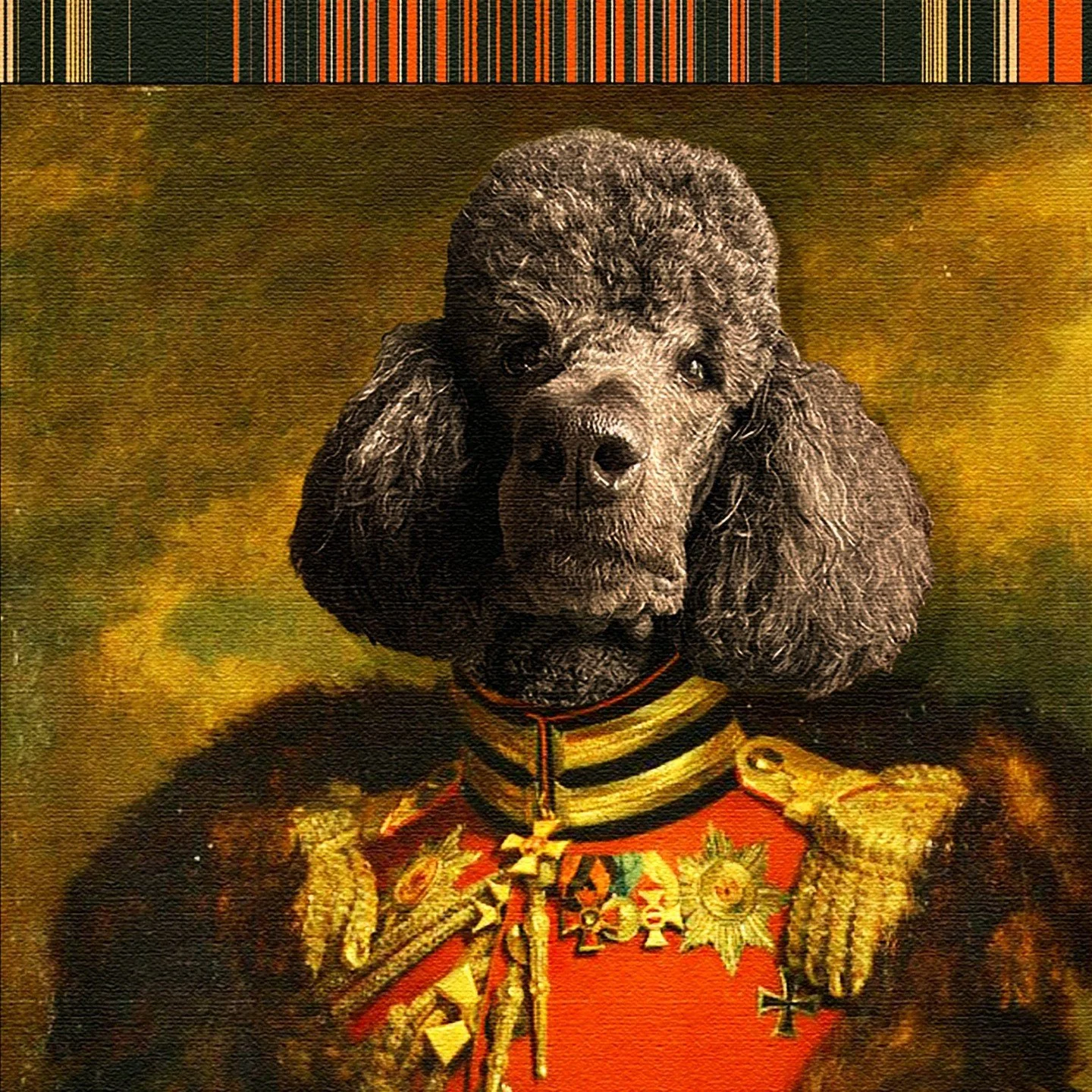 Pet portraits are my pet project.