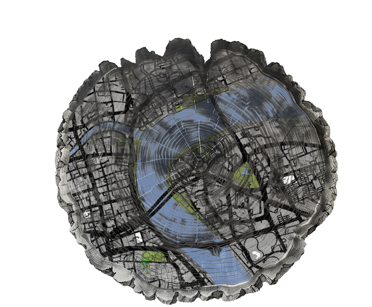 Tree Ring_ Shanghai.png