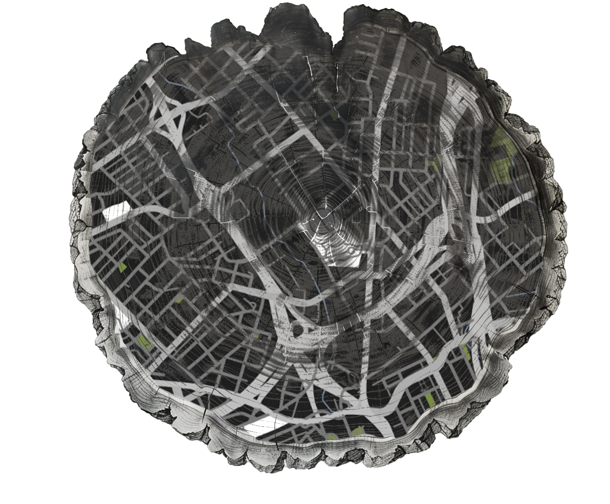 Tree Ring_ Knoxville.png