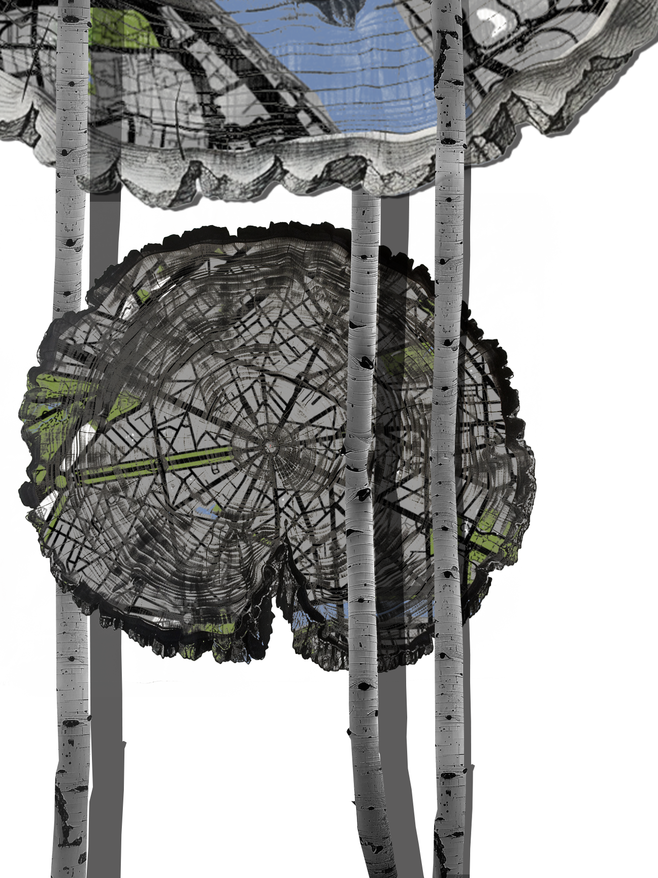 Tree Ring II.png