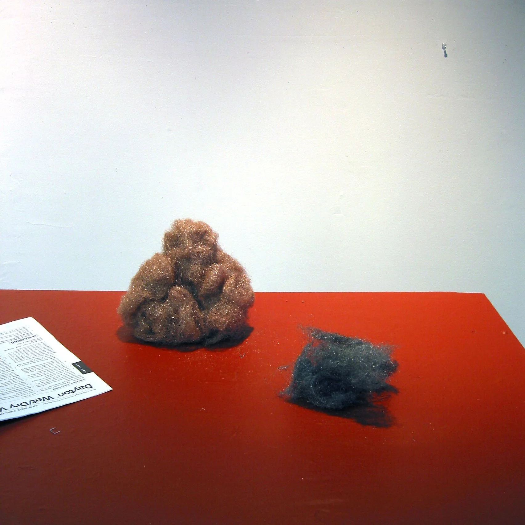 Accidental Buddha.jpg