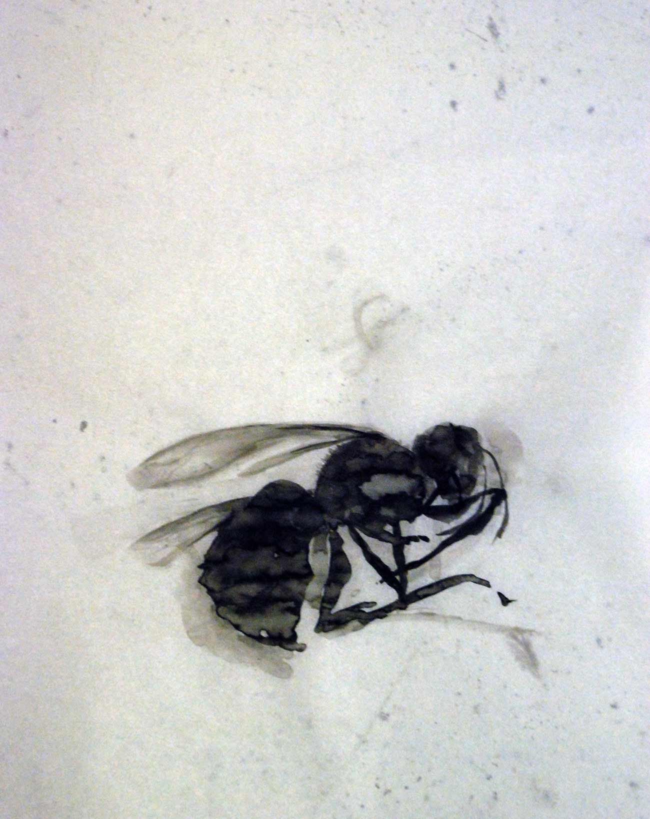 Bee No. 18