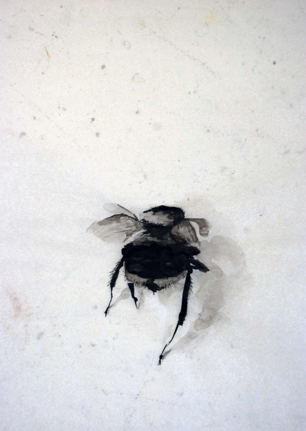 Bee No. 26