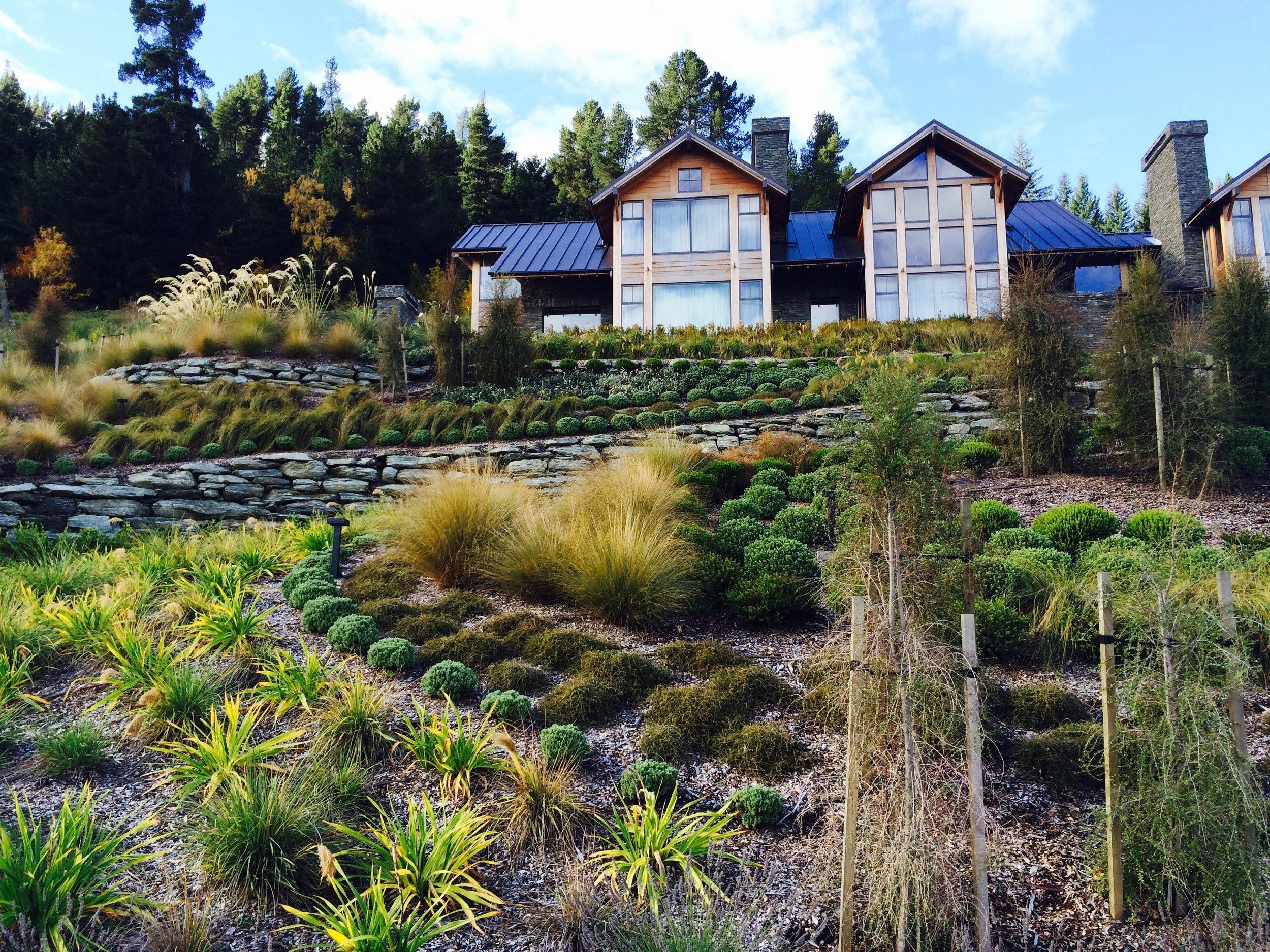 Project Gallery — Baxter Design, Landscape Architecture, Urban Design ...