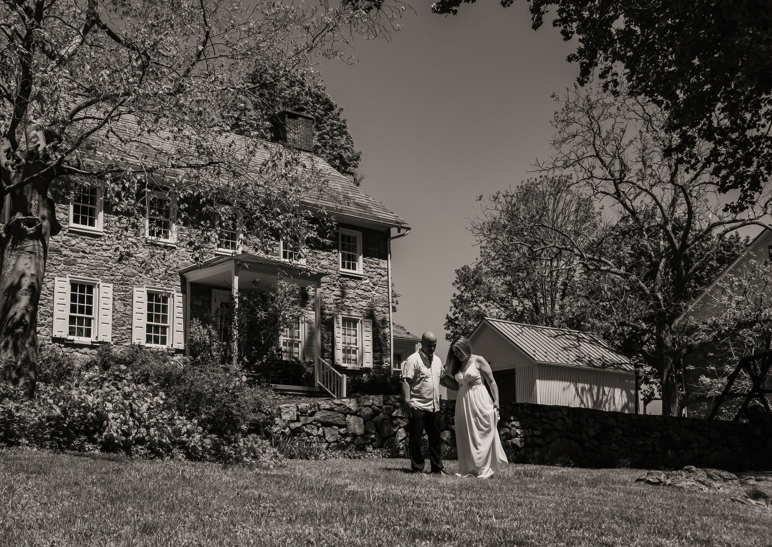 P1647376-2.jpg