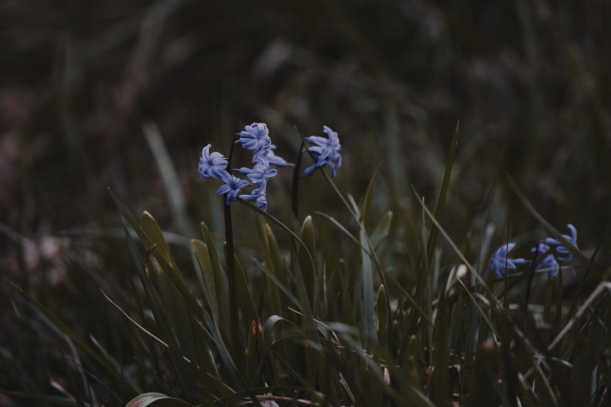 07BAF248-D57A-49FC-A5E0-CF08D438579E.jpeg