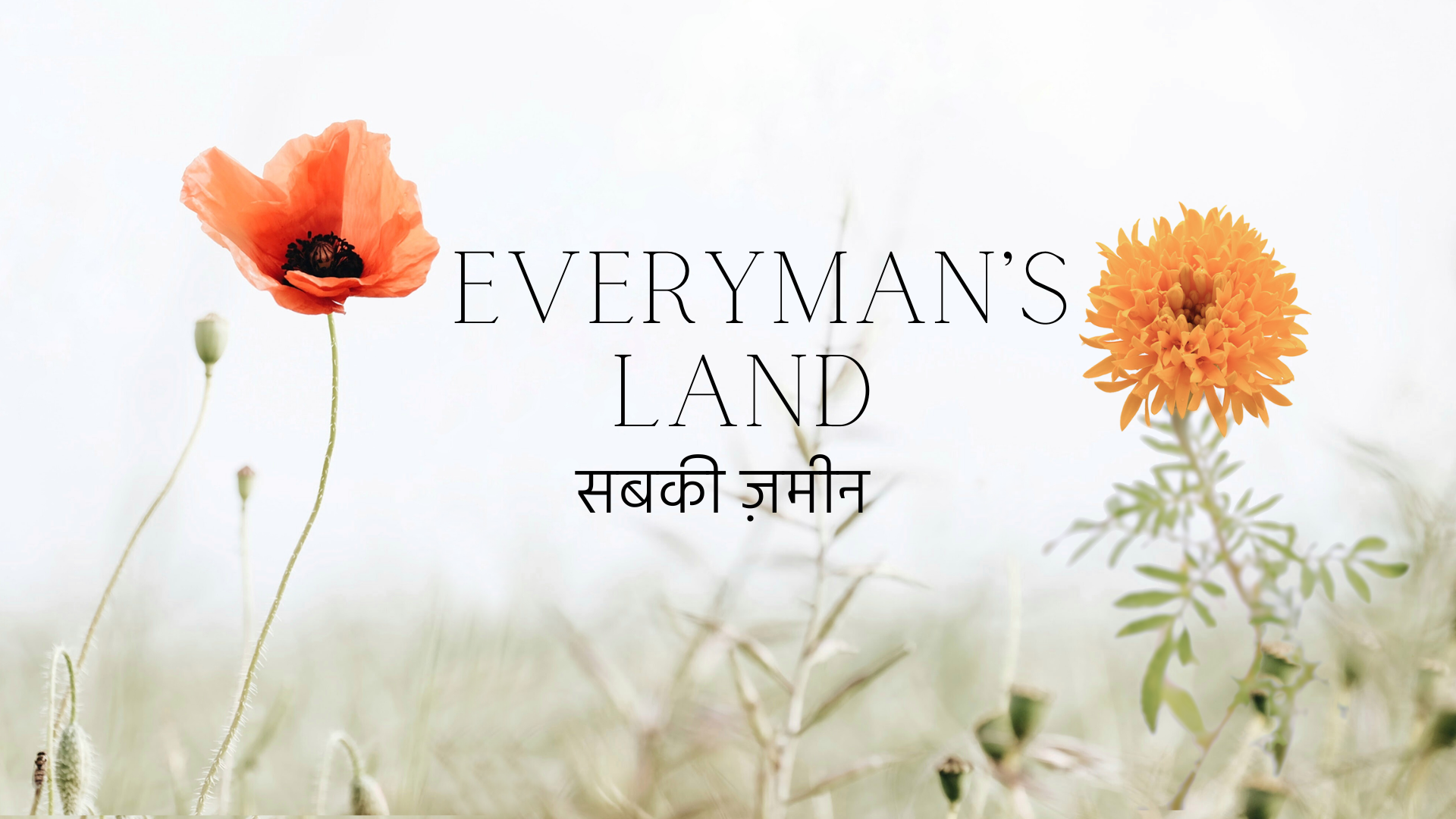 EVERYMAN’S LAND_2026.png