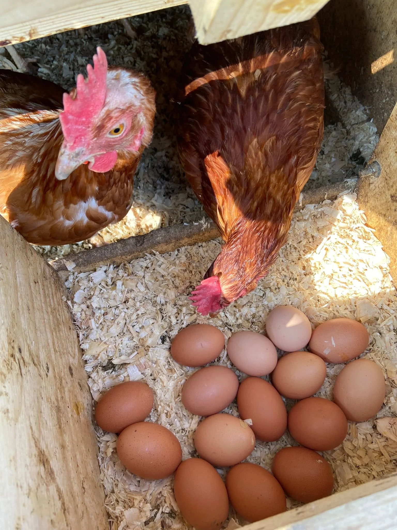 Our Story — Glenside Farm