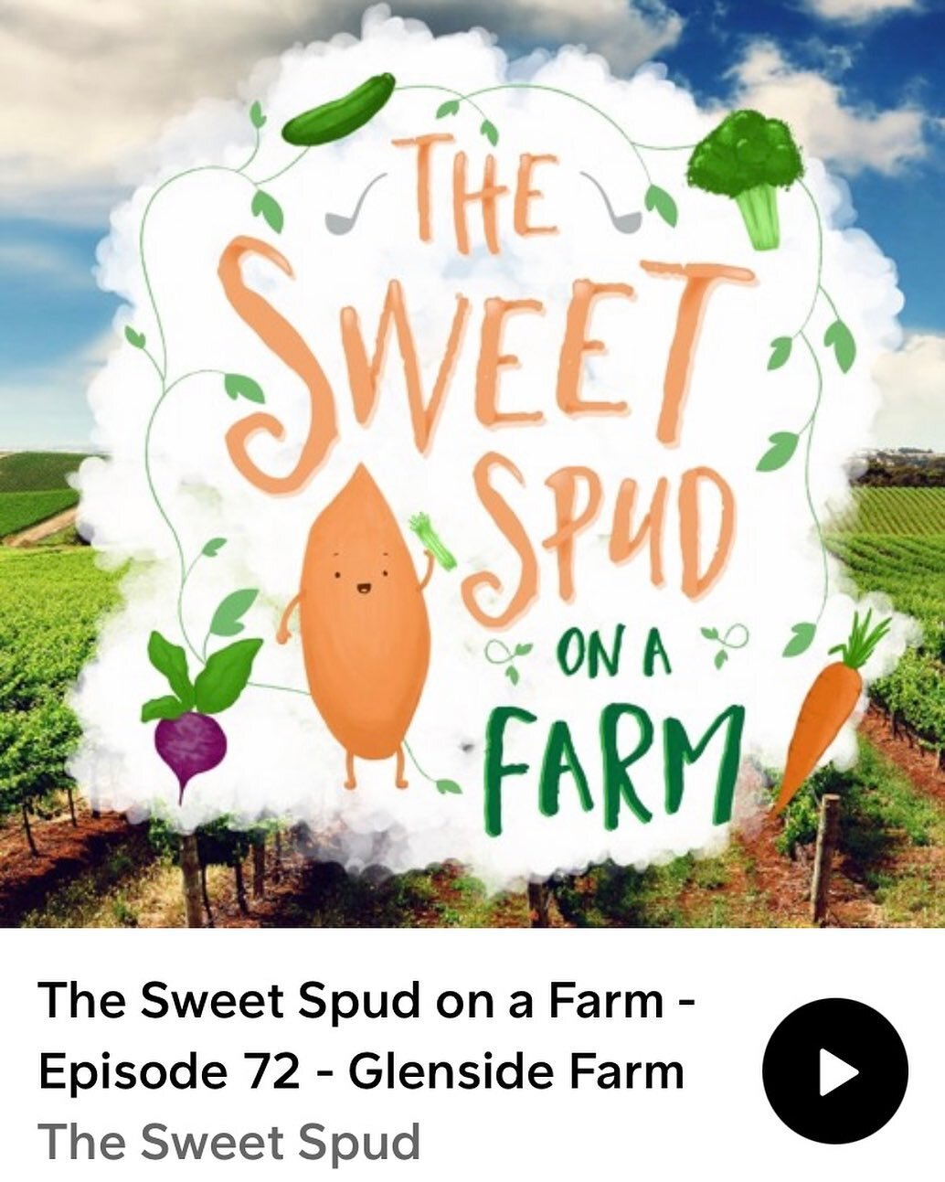 Great to spend some time with @thesweetspud_onafarm podcaster Zuzana and share our story of Glenside Farm. Have a listen on SoundCloud. https://soundcloud.com/thesweetspud/the-sweet-spud-on-a-farm-episode-72-glenside-farm #podcast #thesweetspudonafar