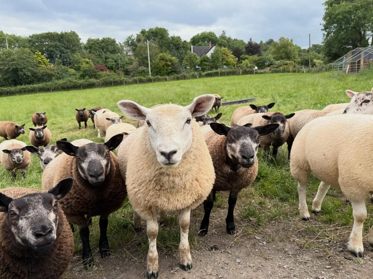 As we draw to the end of 2025, we reflect on what a busy year it has been. Read our latest blog - link in bio Thank you to all of you who have visited - friends, family, participants and like minded organisations. A big thank you to our volunteers an