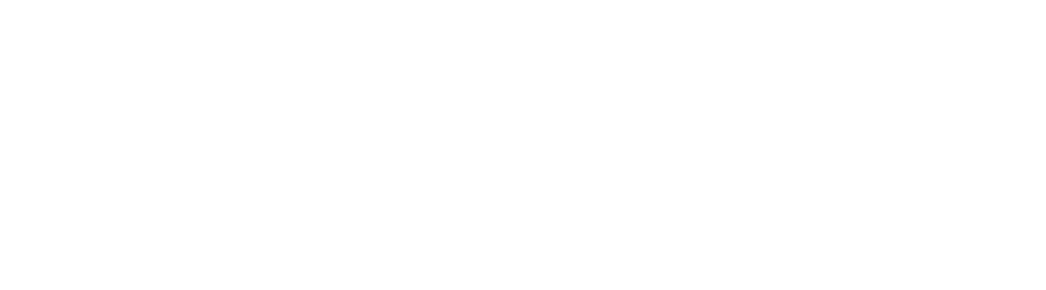 Sanford Enterprises Inc