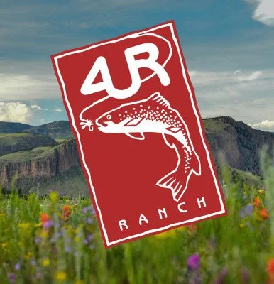 Violinist Jennifer Koh plays at the historic 4UR Ranch&nbsp;