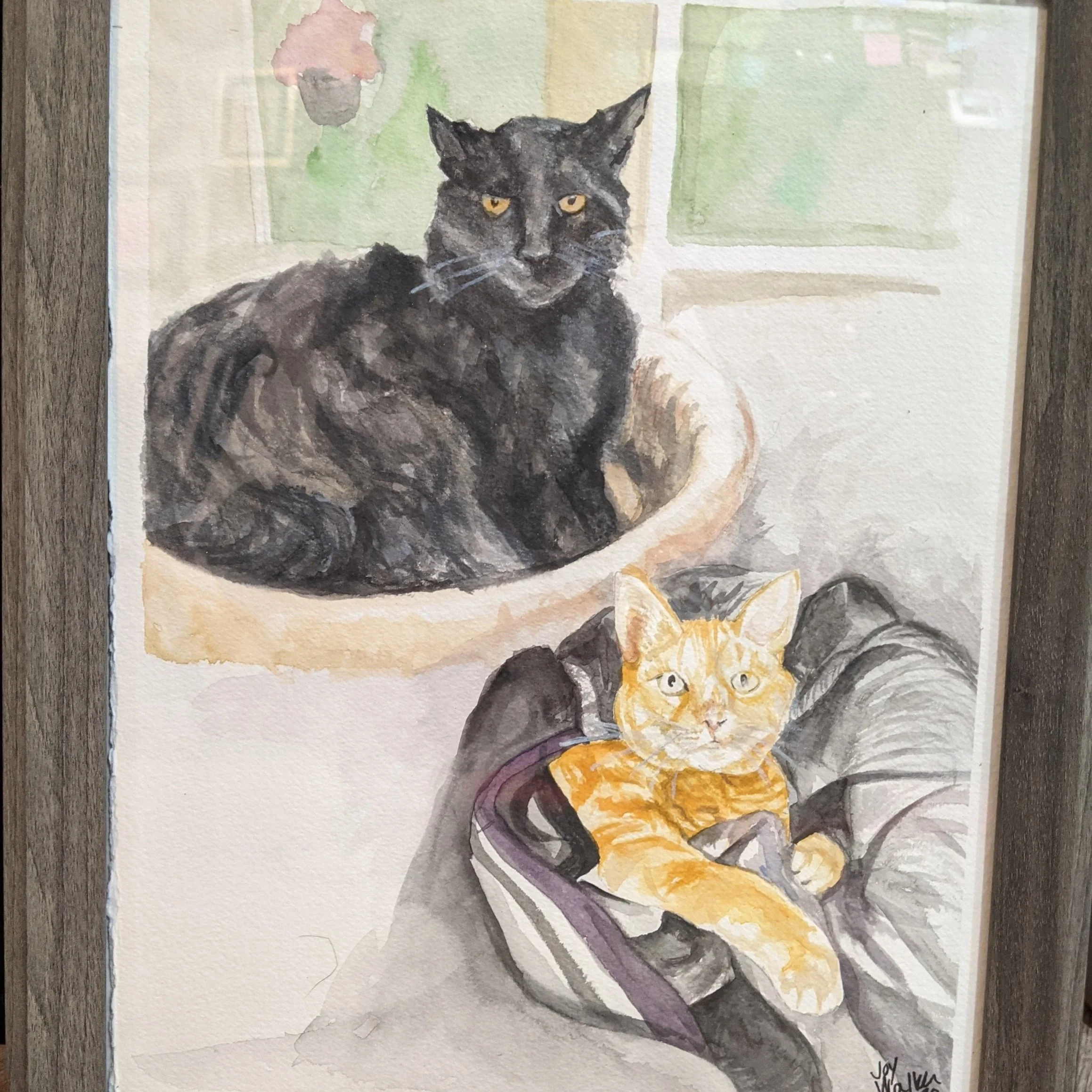 Pet Portrait Example