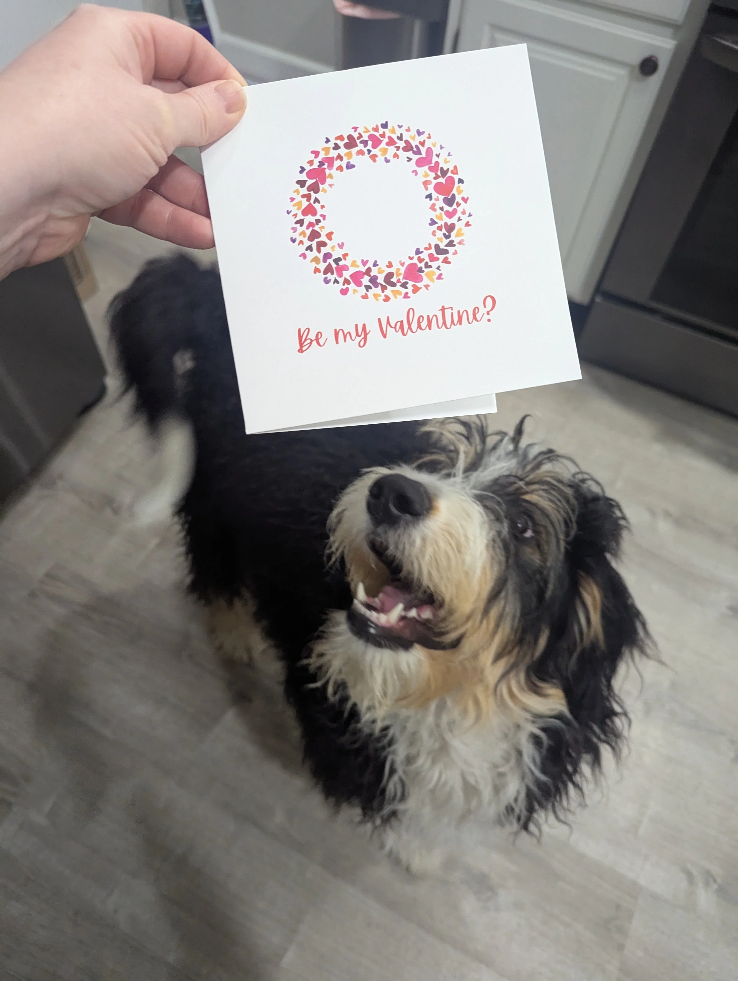 A small dog with black, white, and tan fur looking up at a person holding a Valentine's Day card with a heart wreath and the words 'Be my Valentine?'