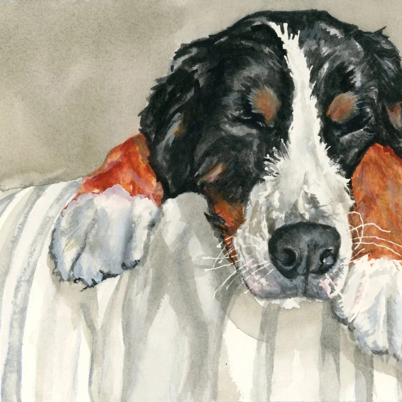 Watercolor painting of a dog lying on a striped cushion, with its eyes closed and one paw resting on its face. The dog has black, white, and brown fur.