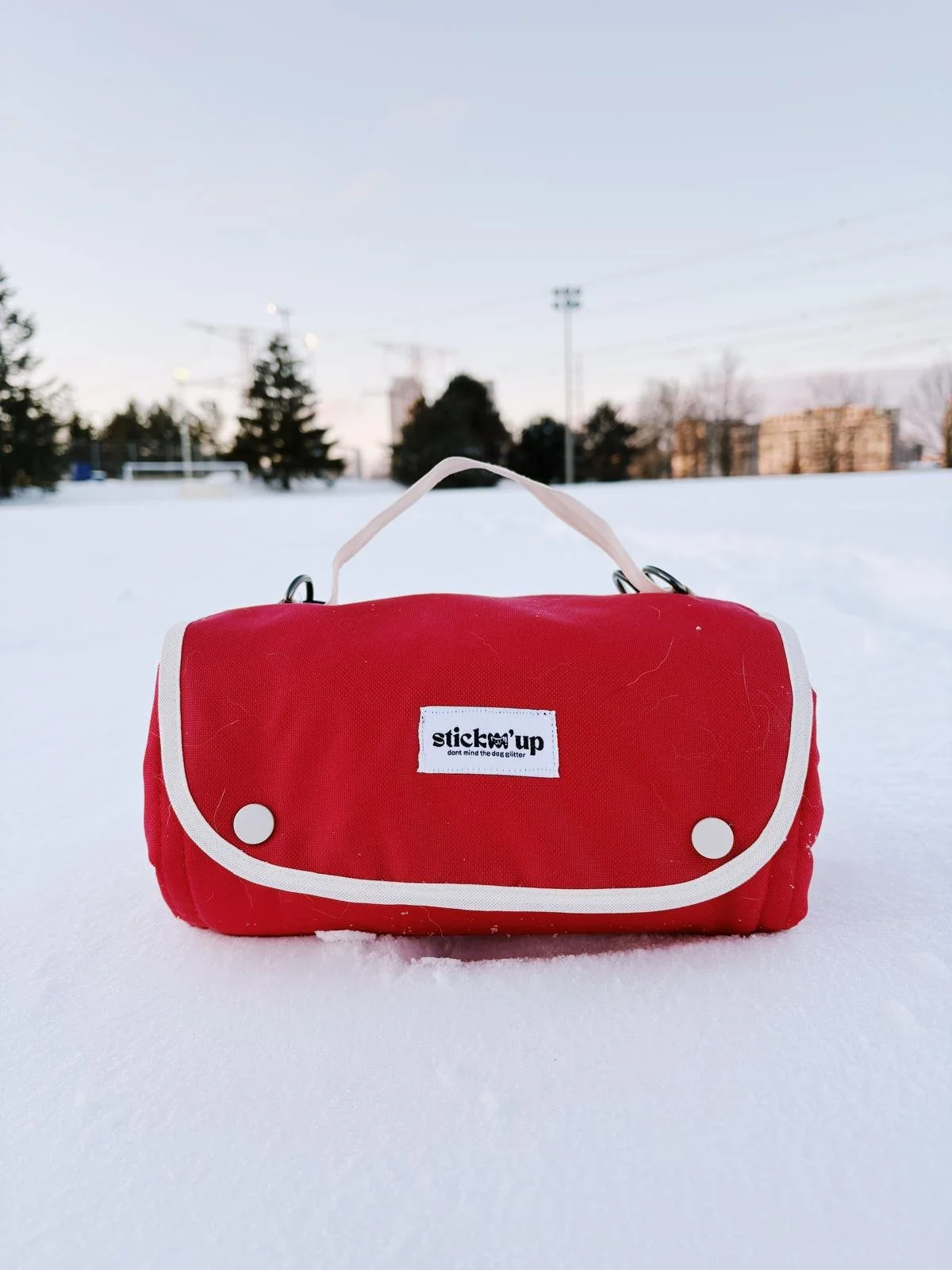 WhatsApp Image 2026-02-02 at 1.25.10 PM (2).jpeg