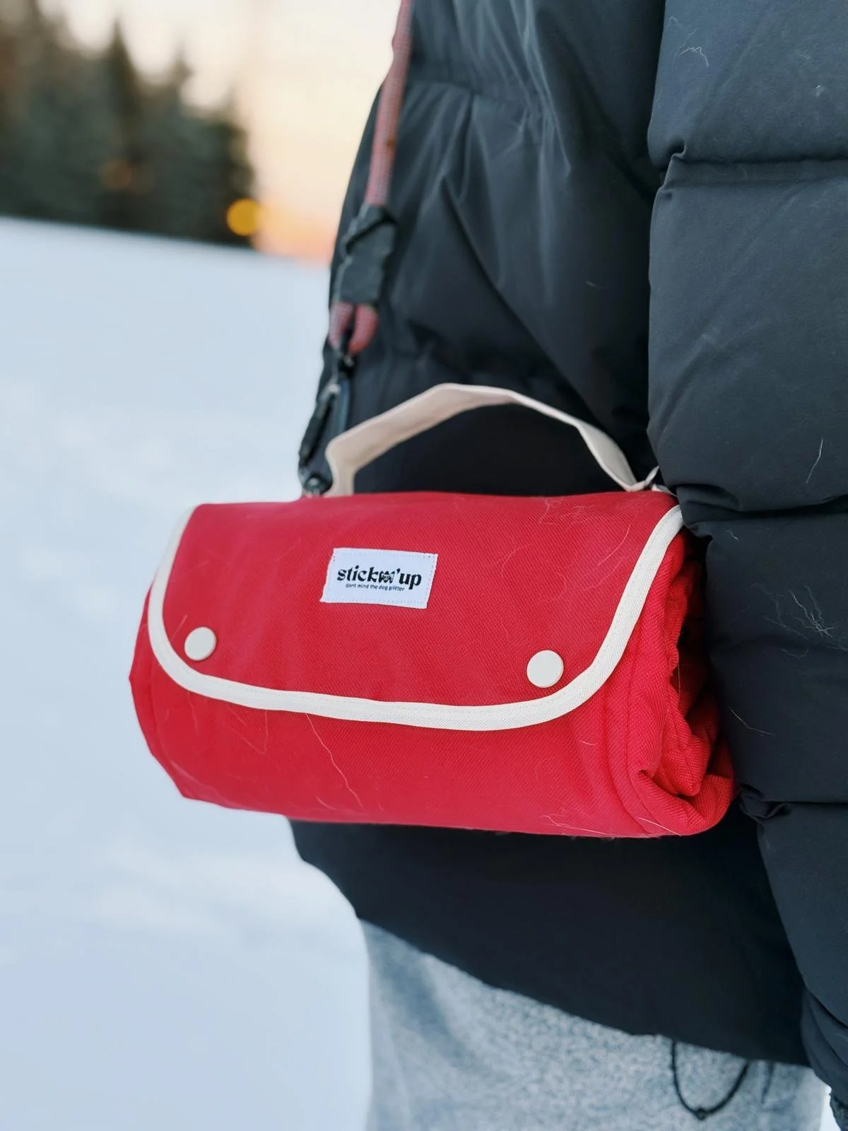 WhatsApp Image 2026-02-02 at 1.25.10 PM (3).jpeg