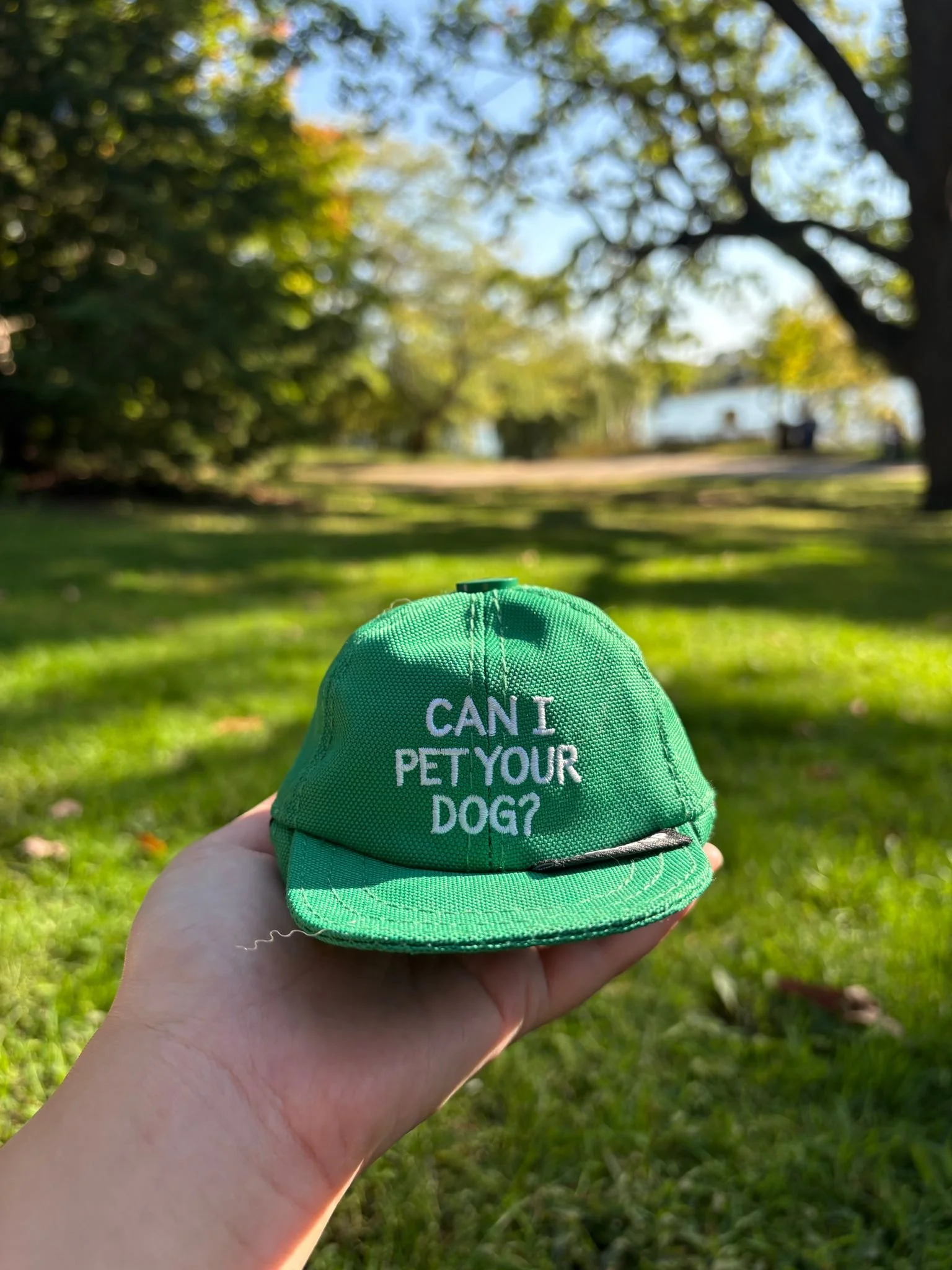 WhatsApp Image 2025-12-08 at 9.22.18 PM (8).jpeg