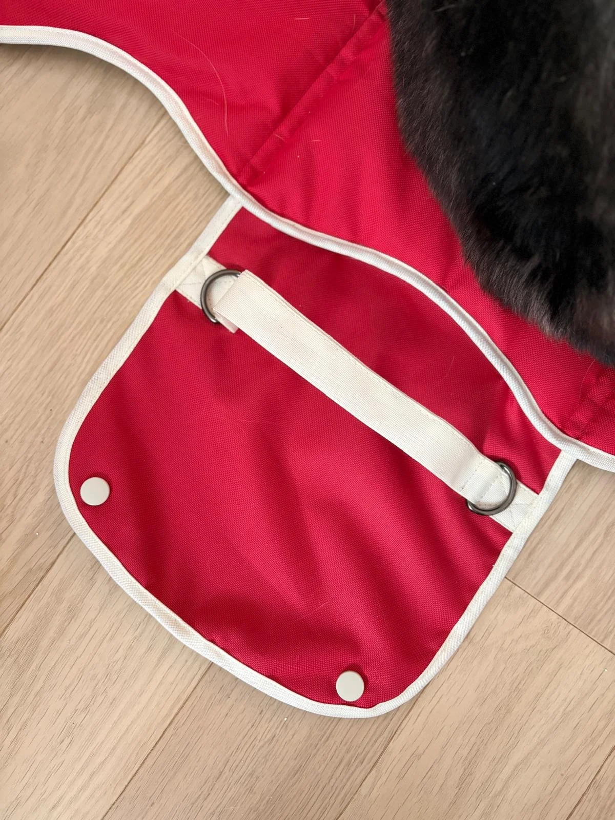 WhatsApp Image 2026-02-02 at 1.25.10 PM (6).jpeg