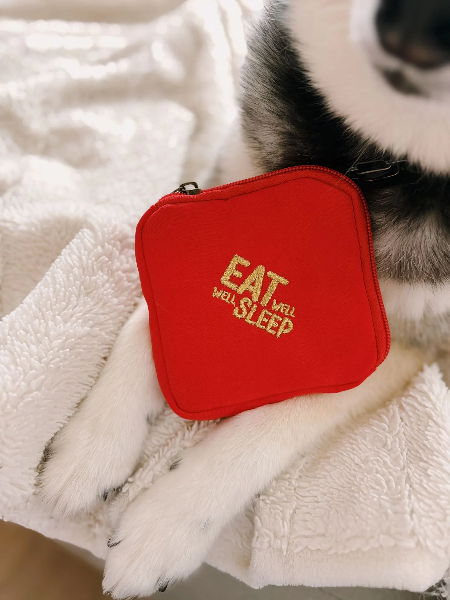 WhatsApp Image 2026-02-03 at 9.05.16 PM (1).jpeg