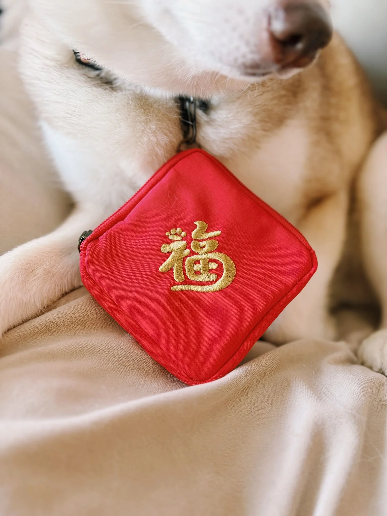 WhatsApp Image 2026-02-03 at 9.05.16 PM.jpeg