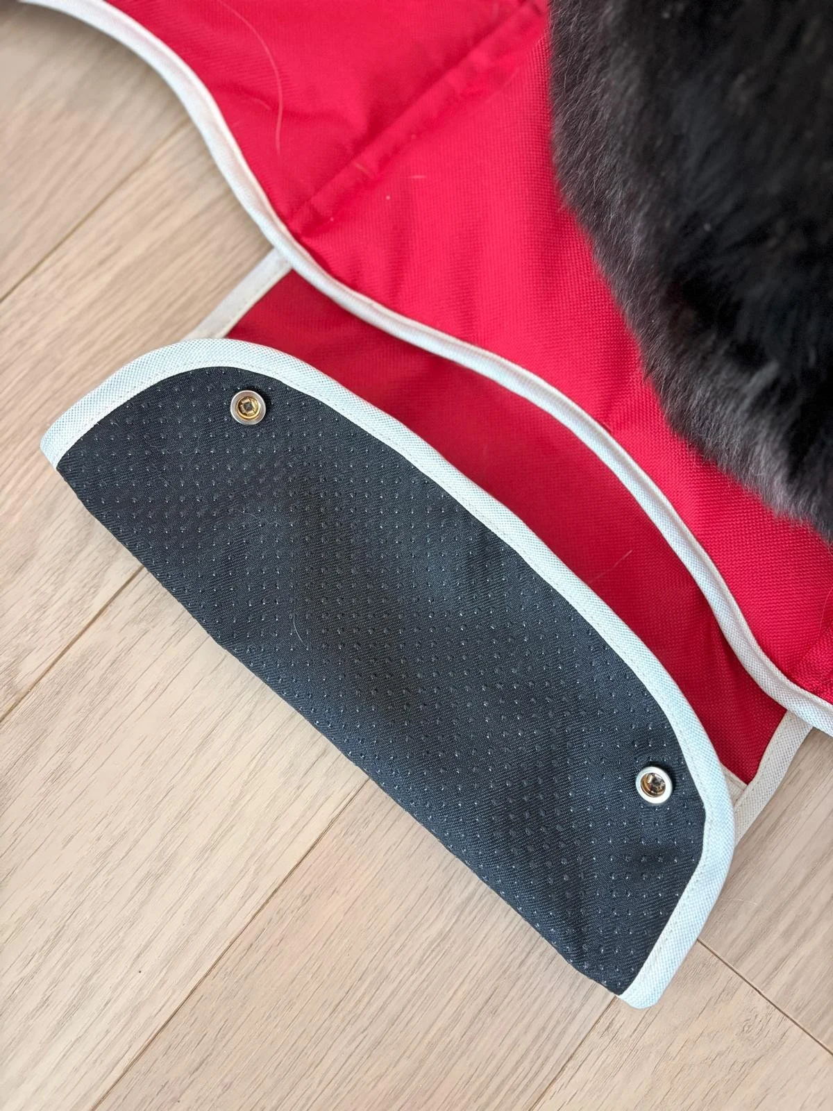 WhatsApp Image 2026-02-02 at 1.25.10 PM (7).jpeg