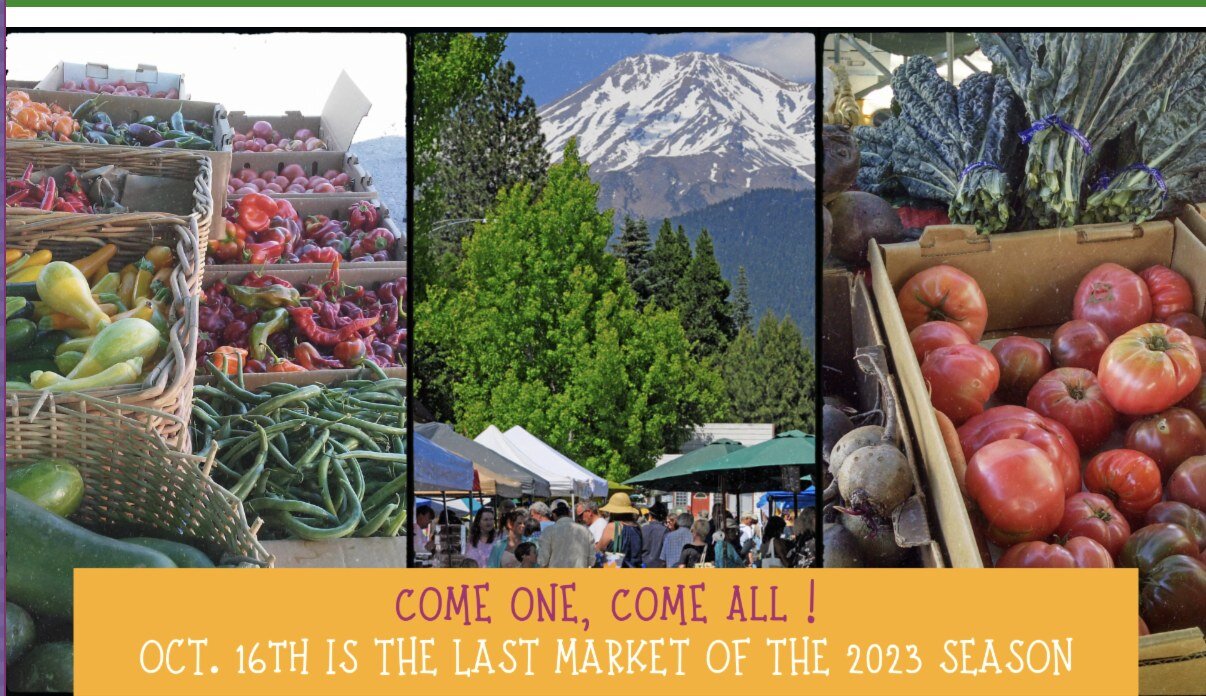 Join us downtown for the last market day of the 2023 season on Monday, October 16th from 3:30 - 6:00 pm.
Shop with the local vendors and enjoy live music as we celebrate fall.
Don't forget to Double your EBT purchase FREE (up to $20)

Learn more at w