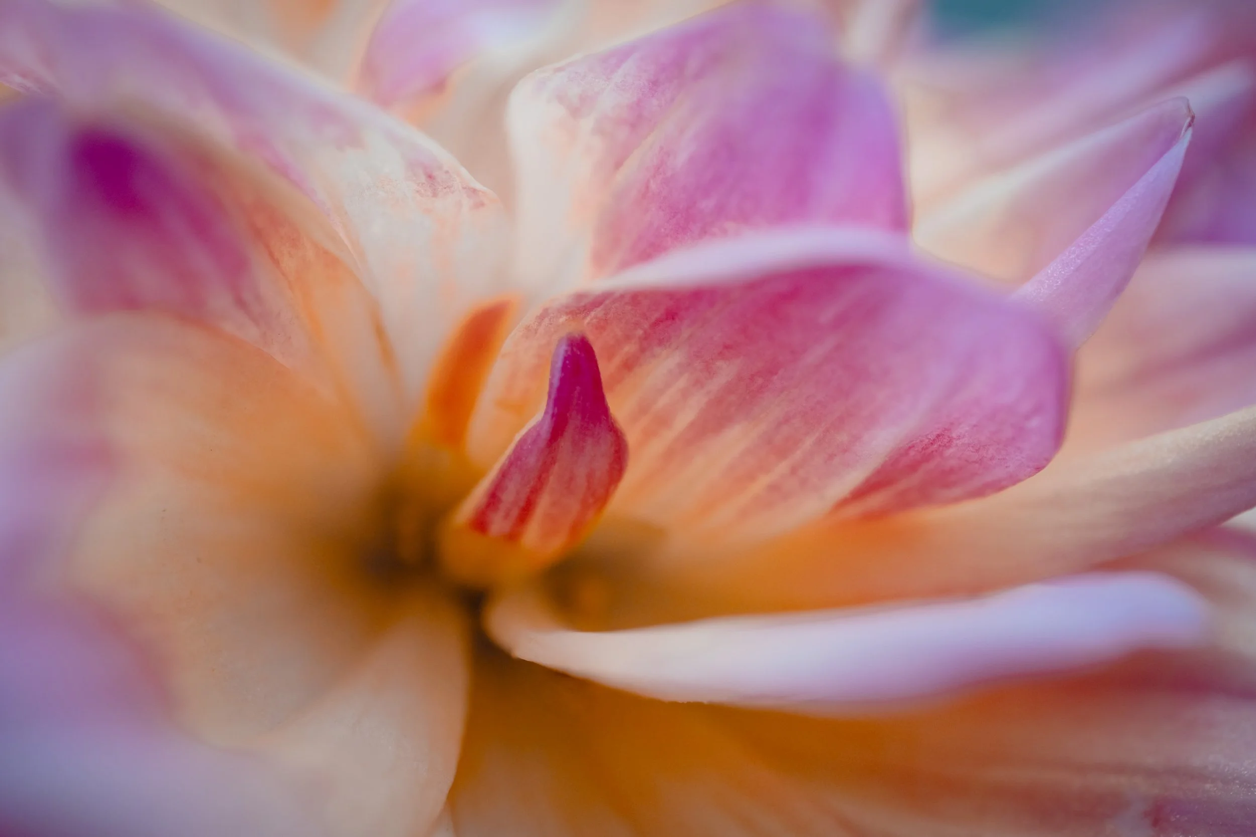 IMG_6831-Edit.jpeg