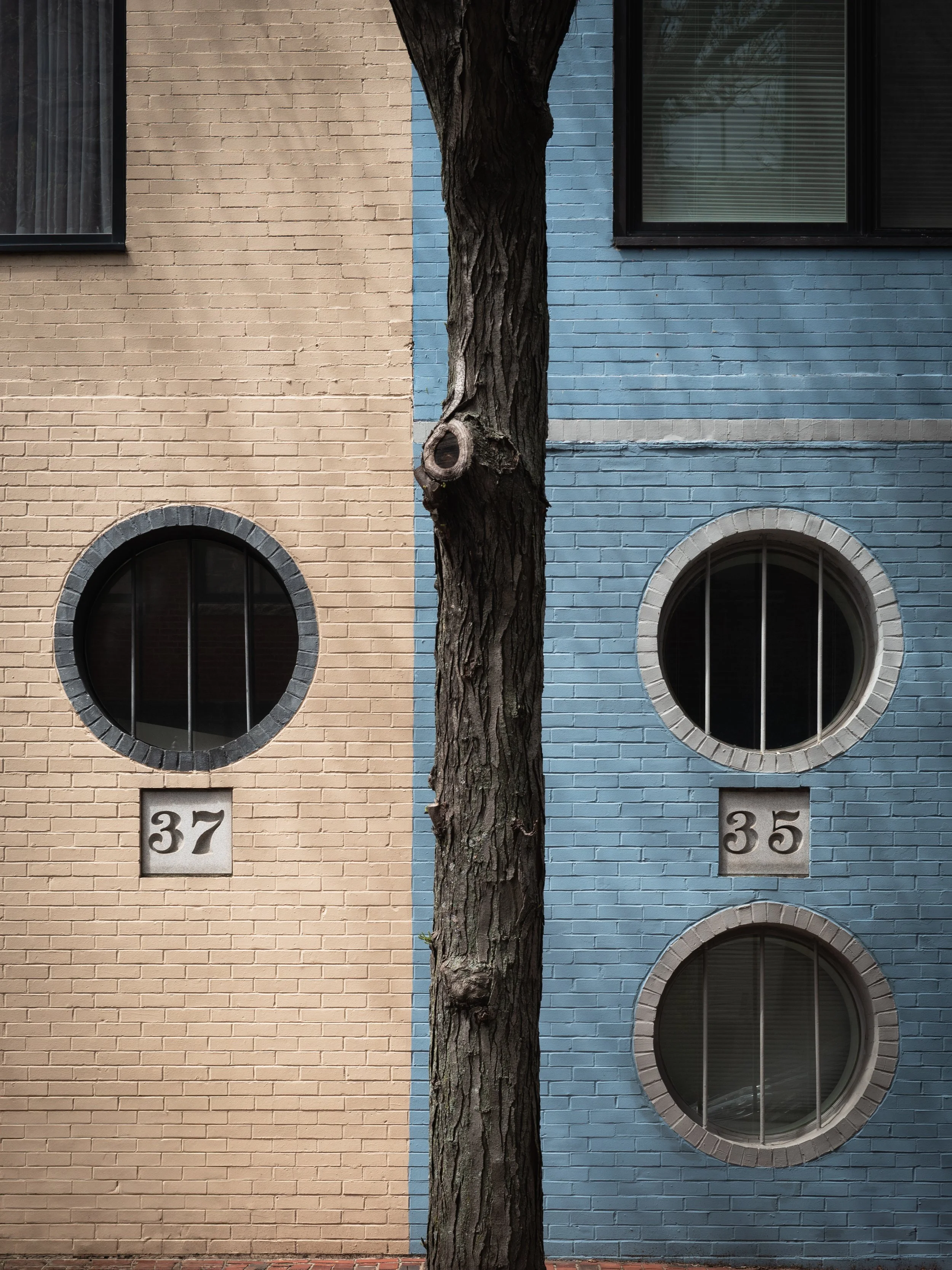 L1022107-Edit.jpeg
