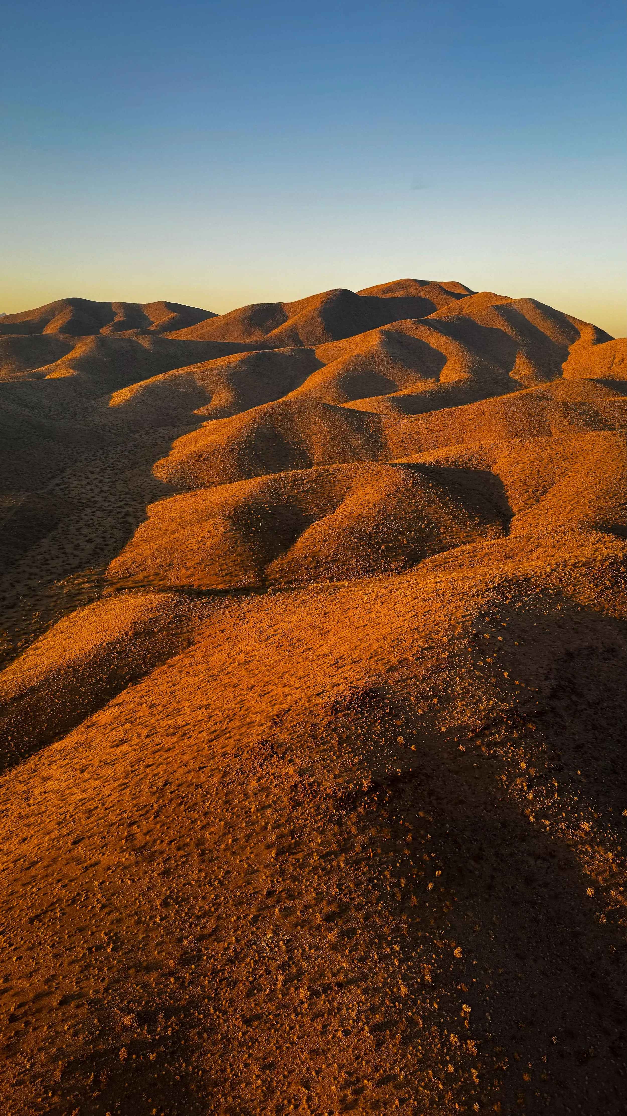 Sunlit rolling hills with sparse vegetation under a clear blue sky at sunset.