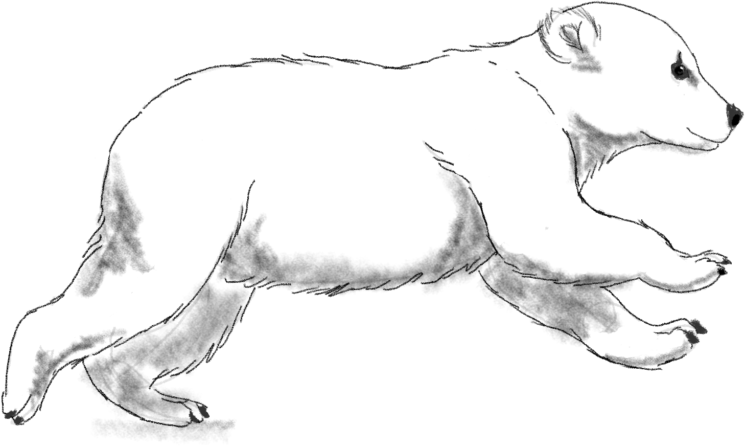 IMG_0818.PNG