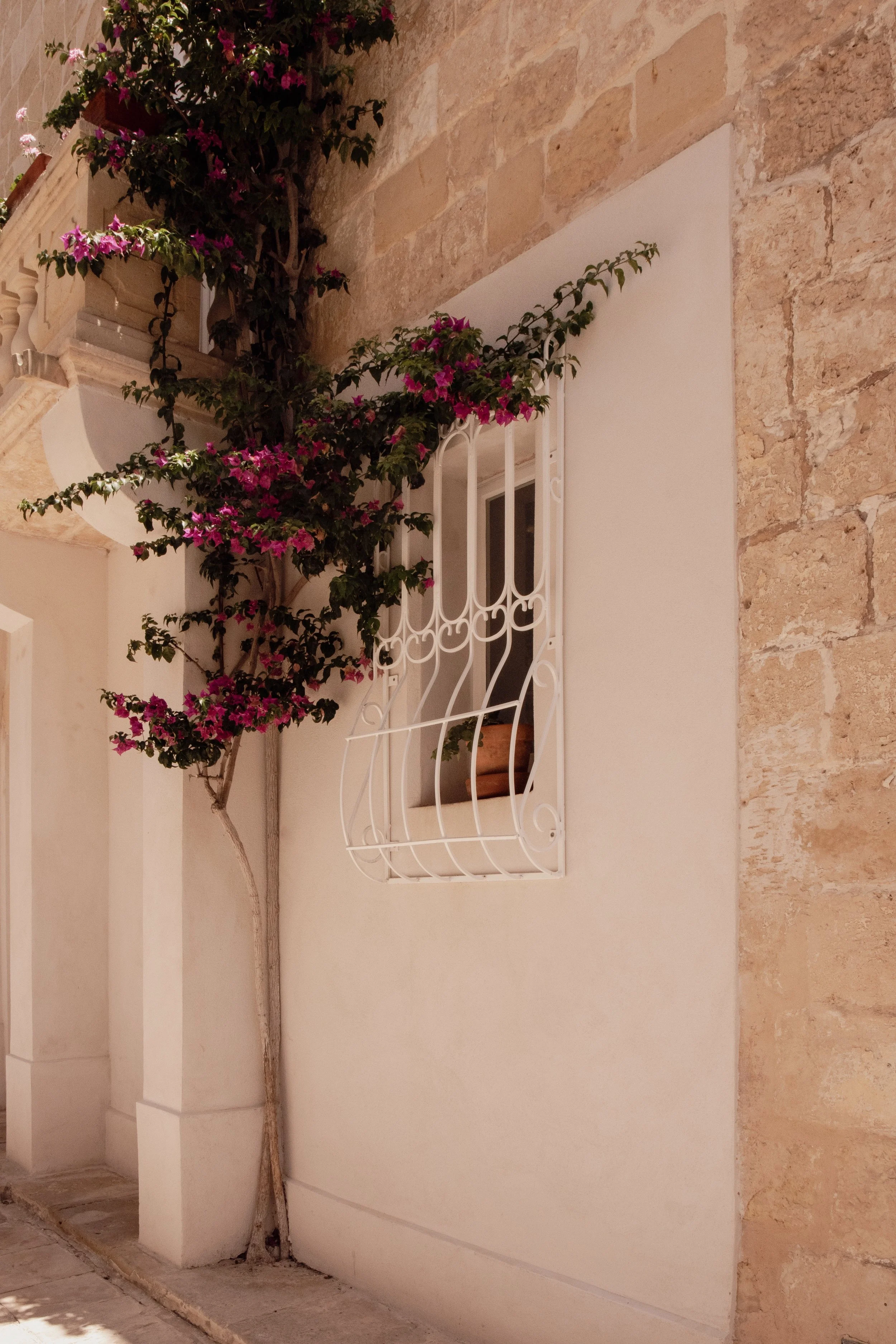A small window with white decorative metal bars on a beige wall, next to a climbing plant with pink flowers growing up the side of the building.
