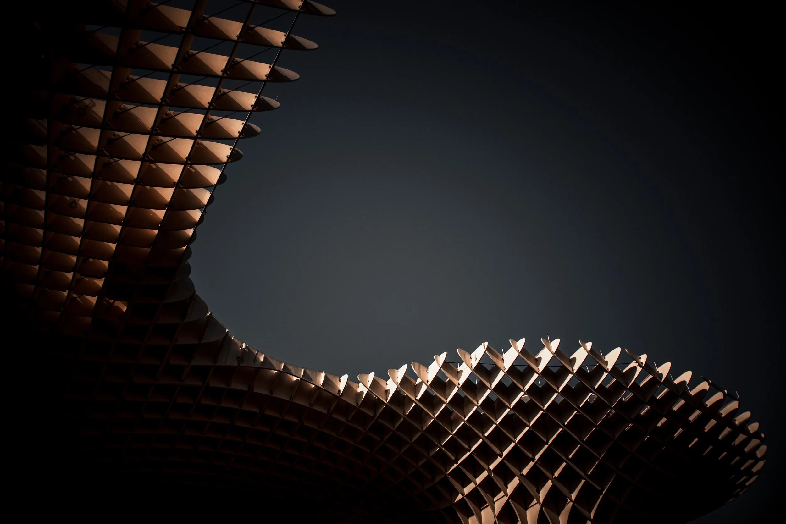 Close-up of a modern architectural structure with a sweeping, curved design made of a grid of individual panels or slats, set against a dark sky.