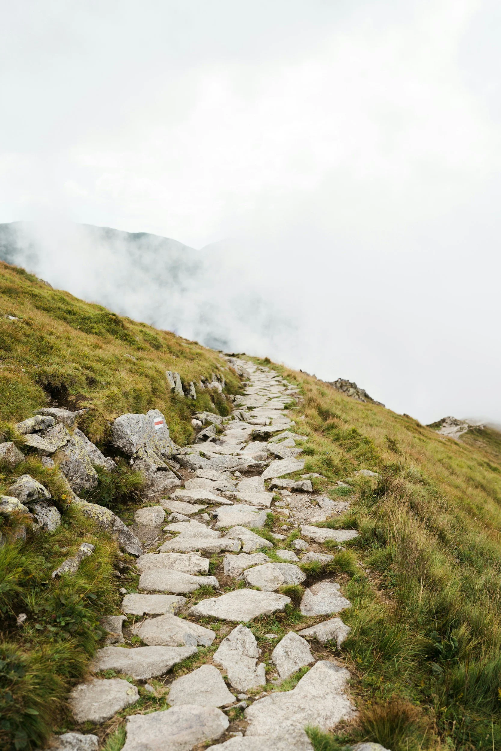 On the Householder Path Part 11