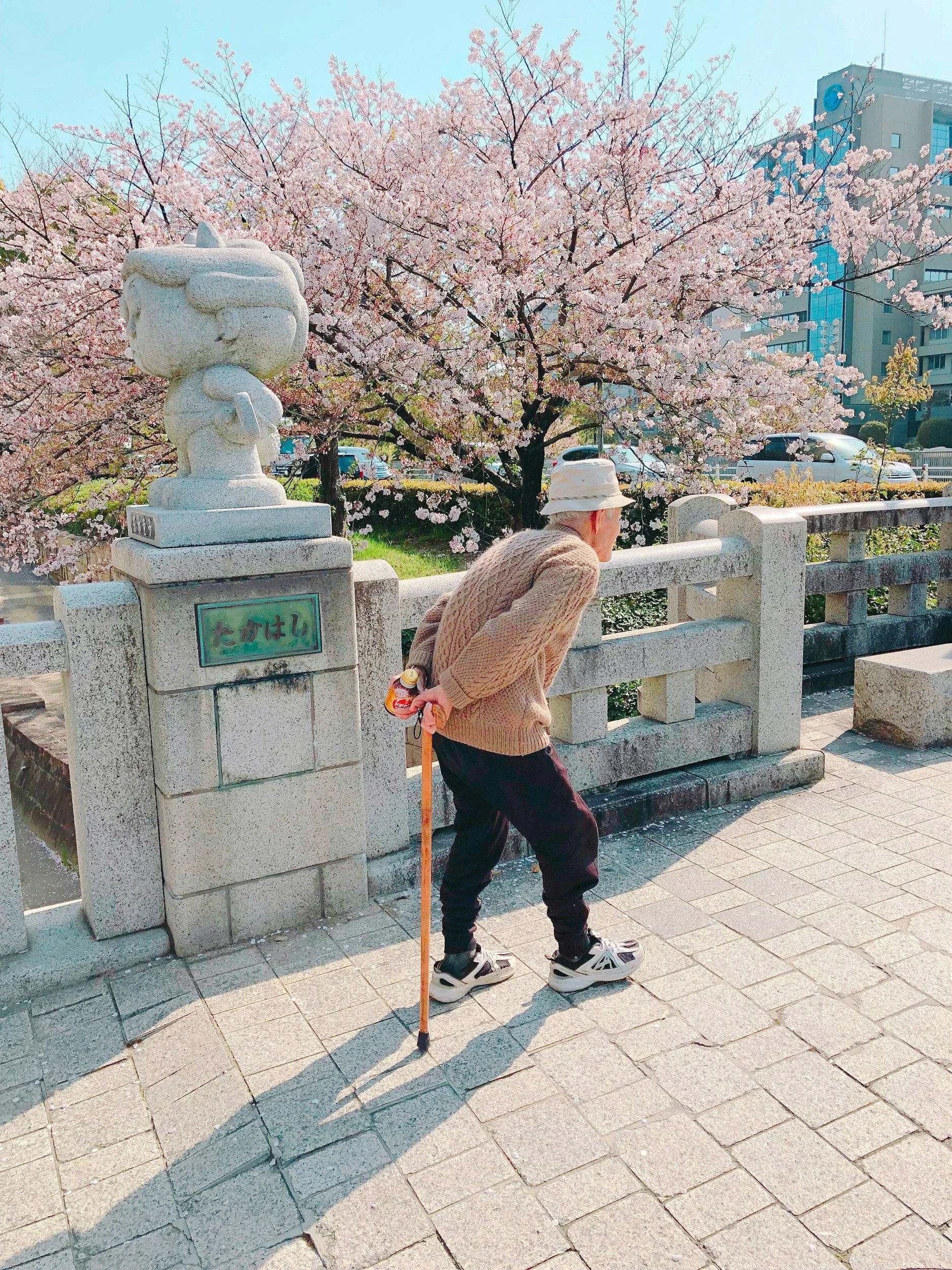 Teaching Yoga to Nonagenarians