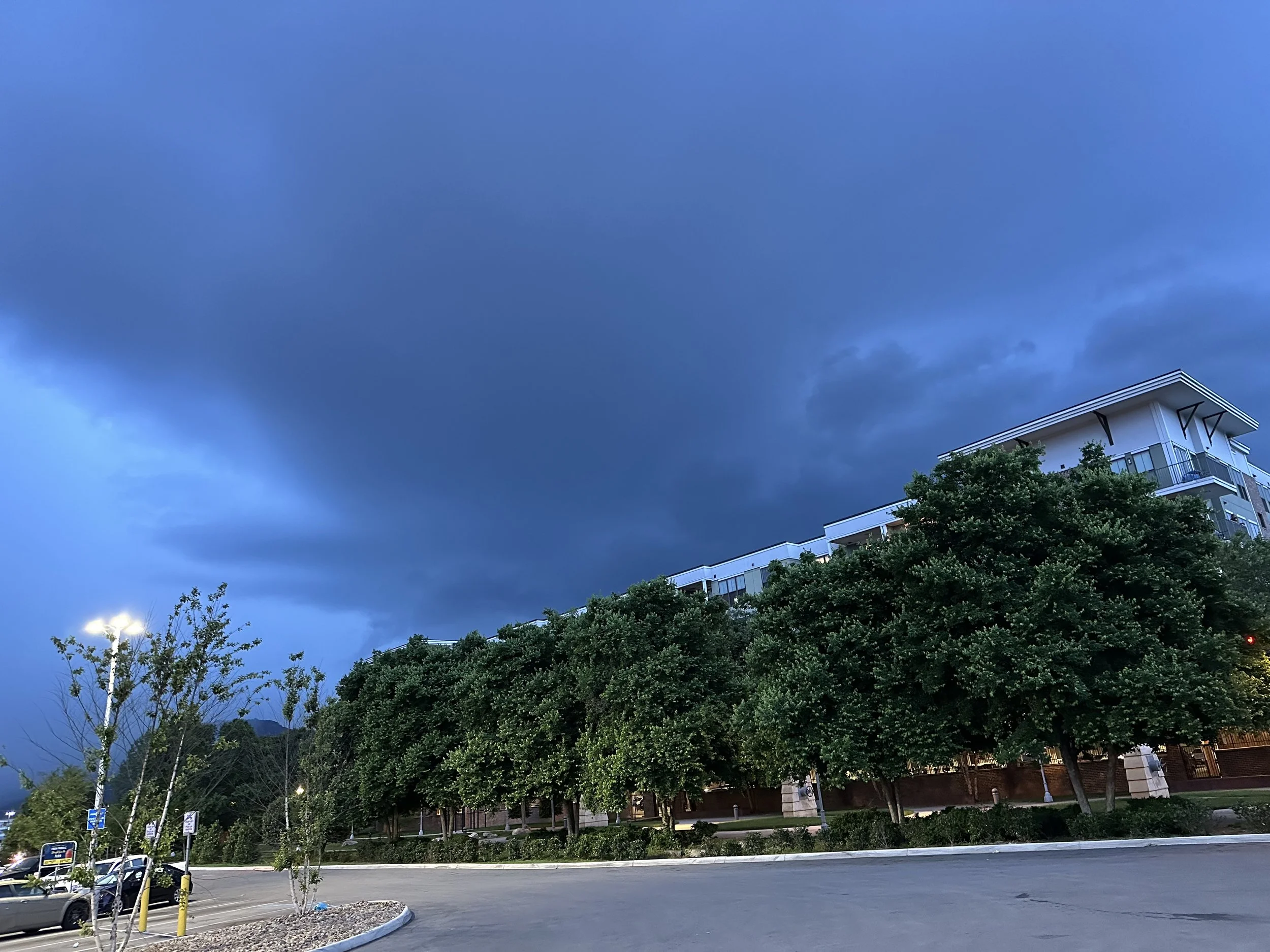 Getting Into The (Blue) Zone: Secrets To A Long &amp; Happy Life