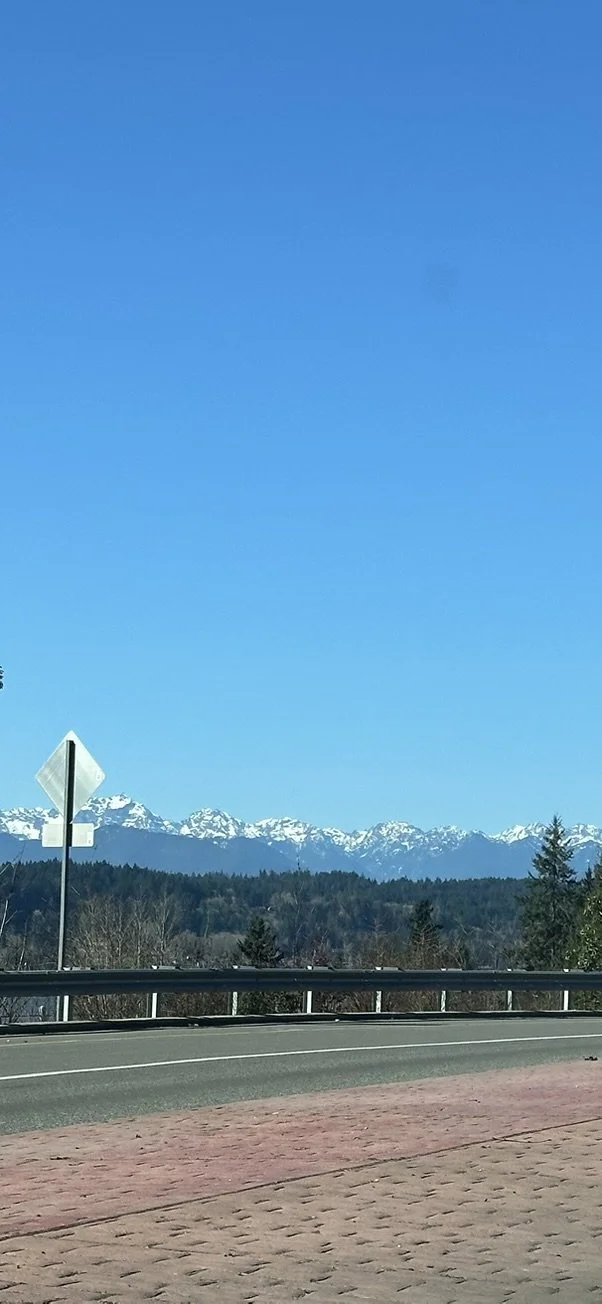 Snapshot of A Journey to The Highway to Yeah 