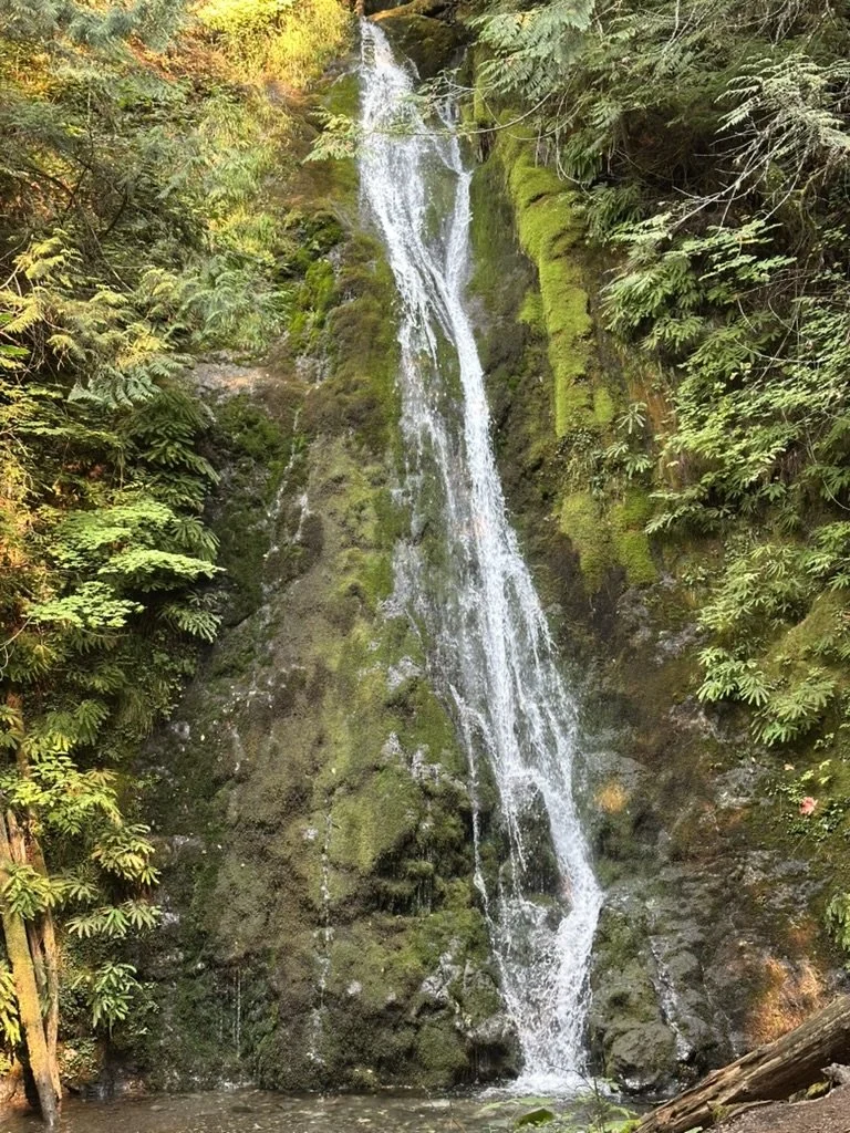 From Friction to Flow