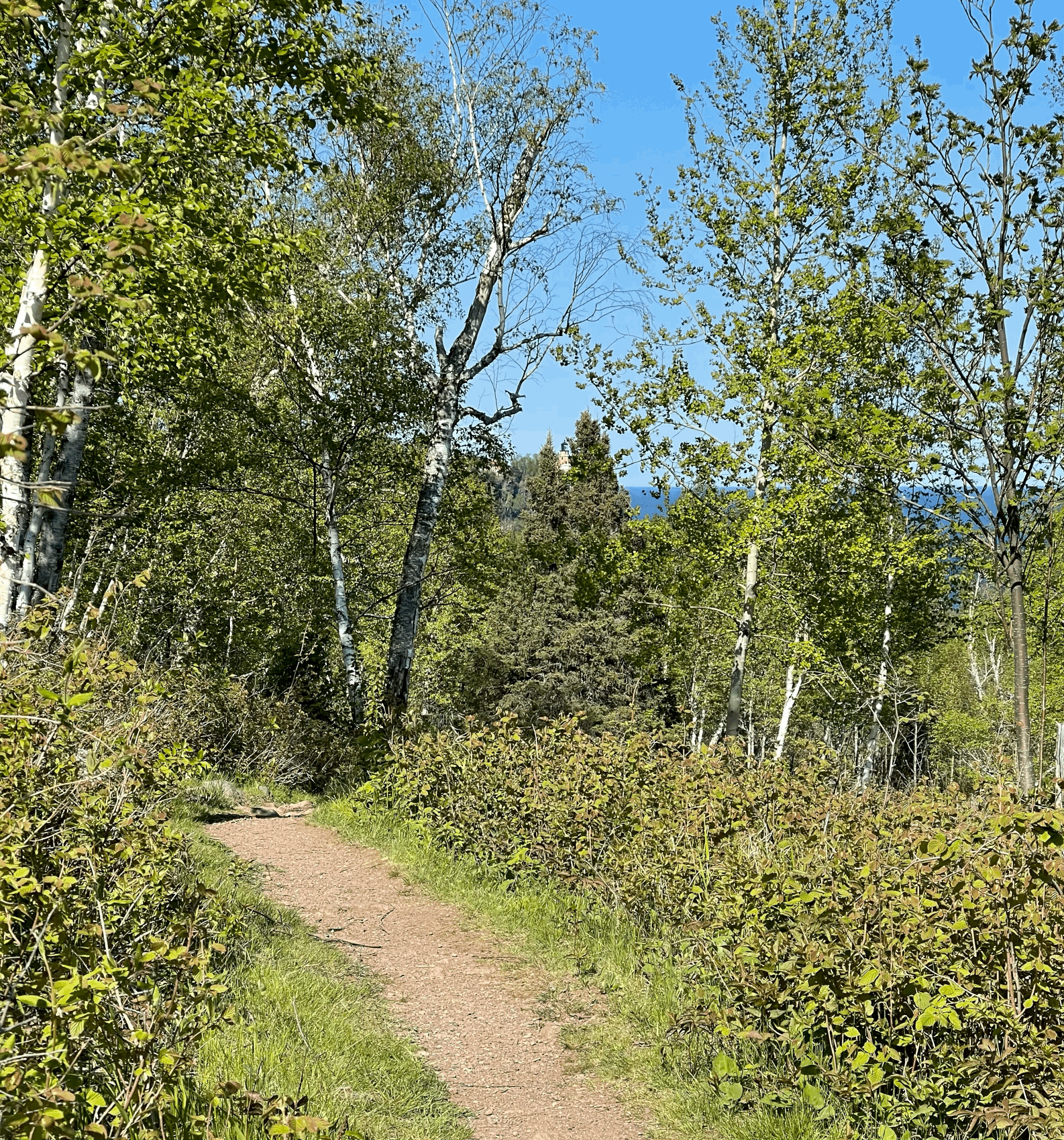 Finding Your Own Path