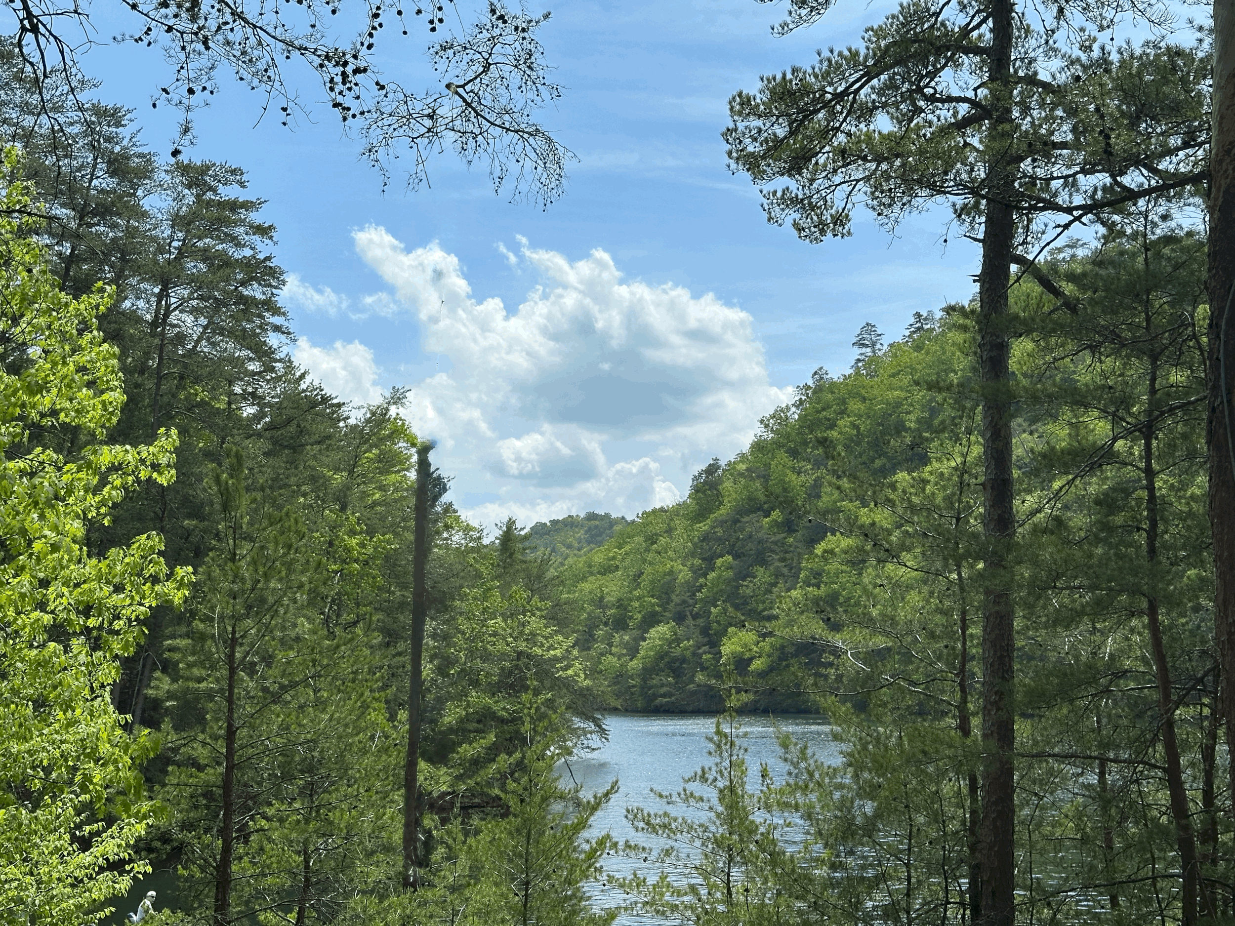 Fishing For Meaning in Walden Pond