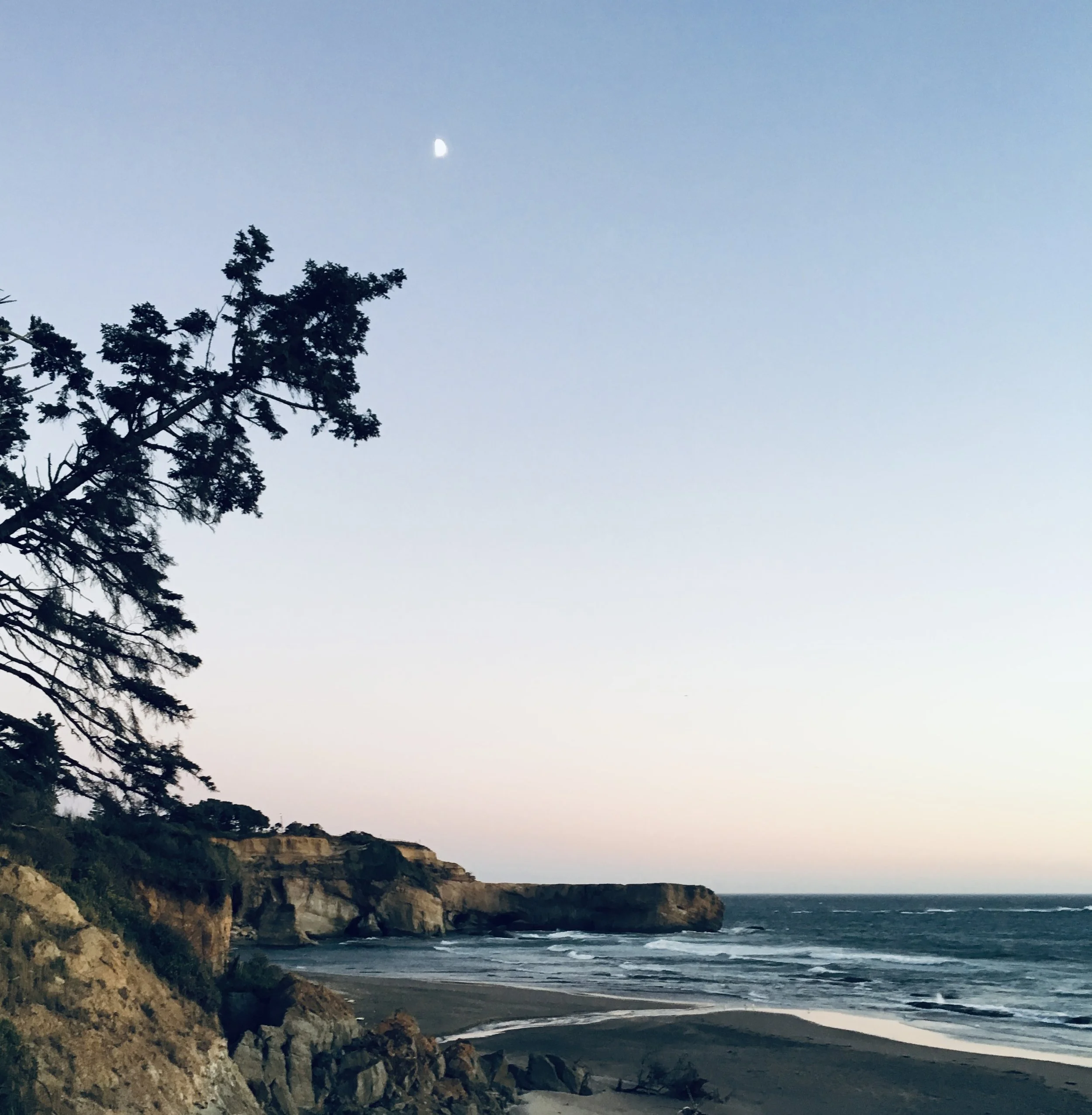 What Would Aragorn Do?: Part 3 – Sun + Moon = Aragorn and Arwen