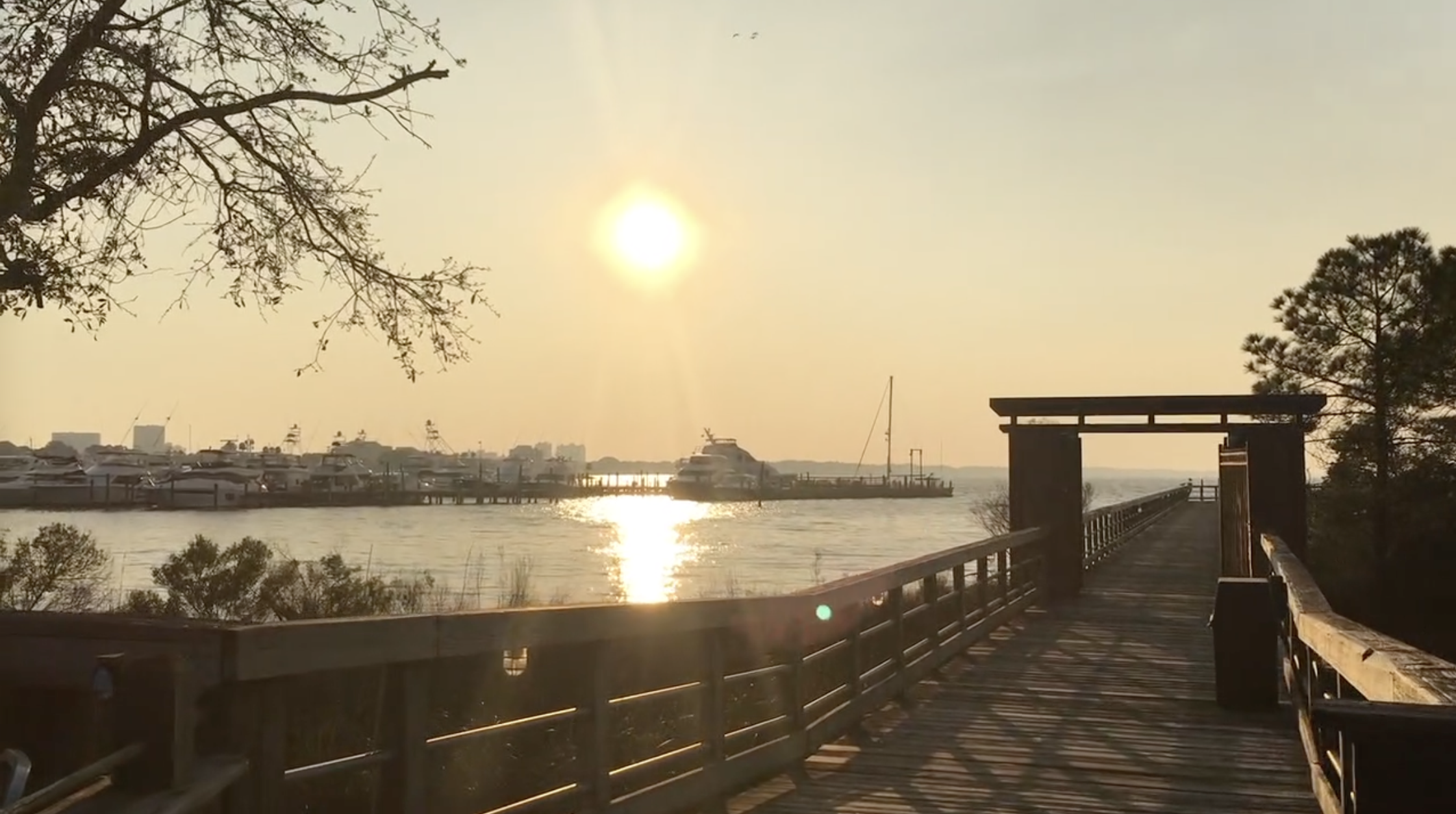 Finding Your Rhythm: When and What Questions Are as Important as Why Post-FIRE
