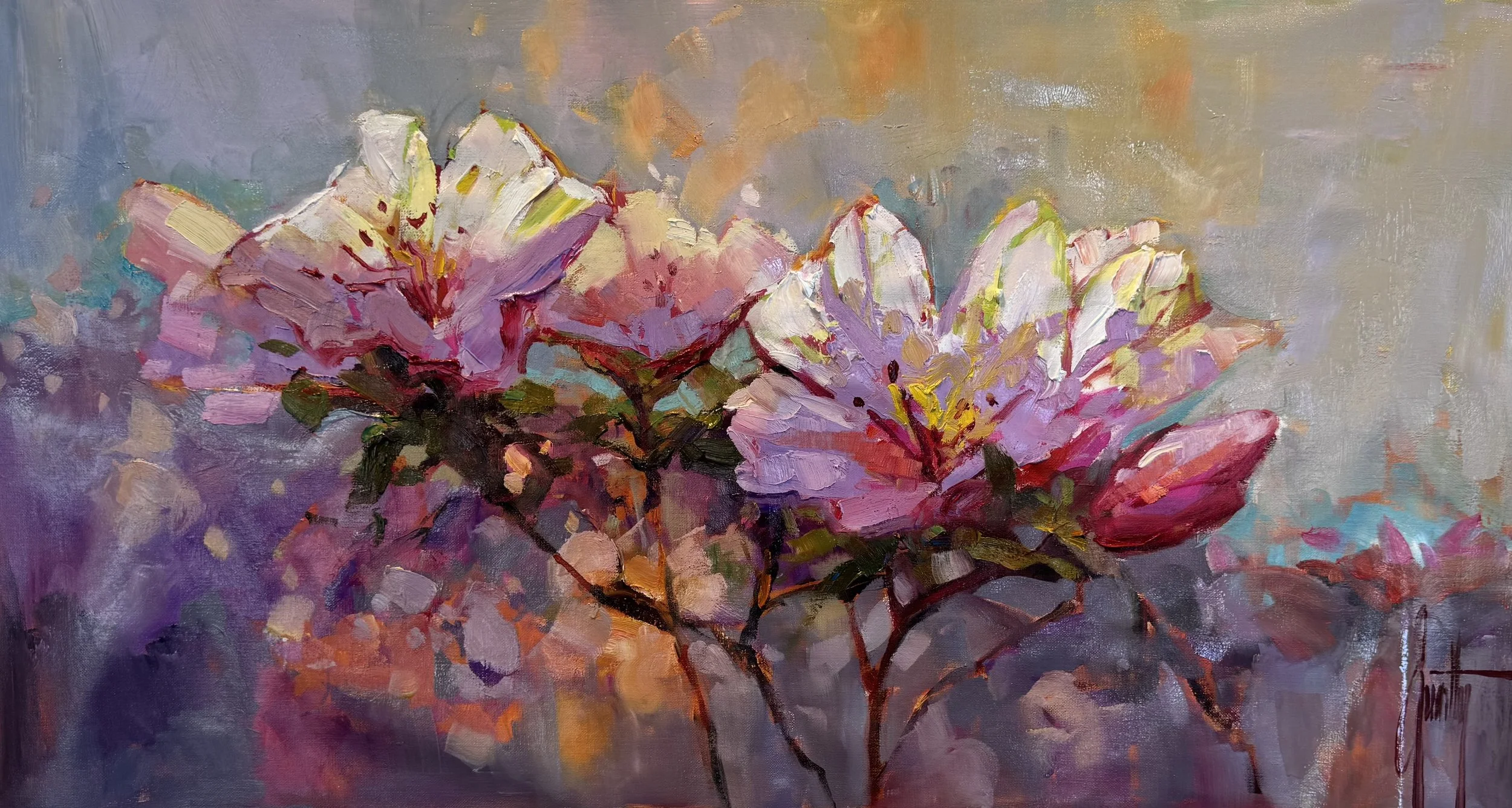 Pink Azaleas