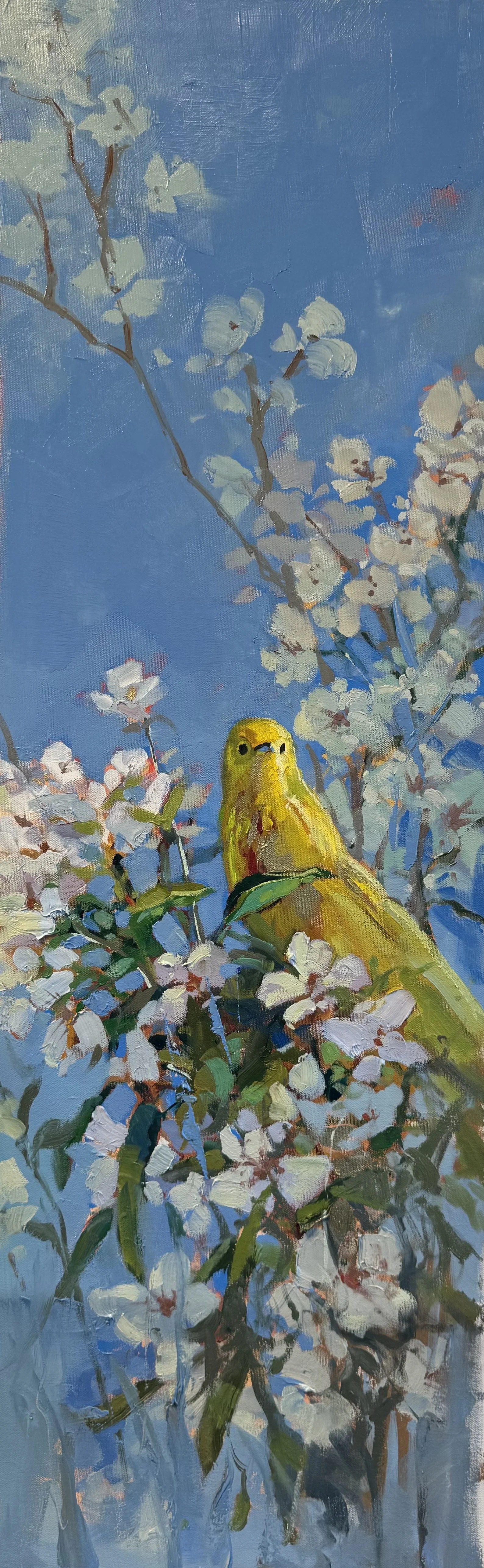 Spring- SOLD
